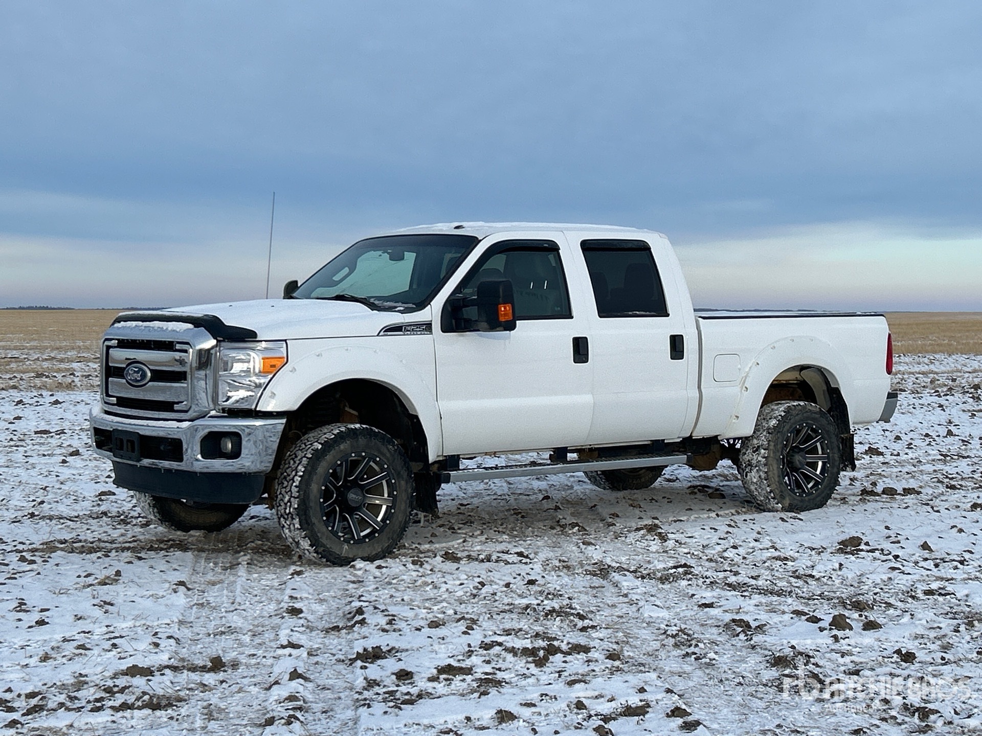 General Appearance with Spin