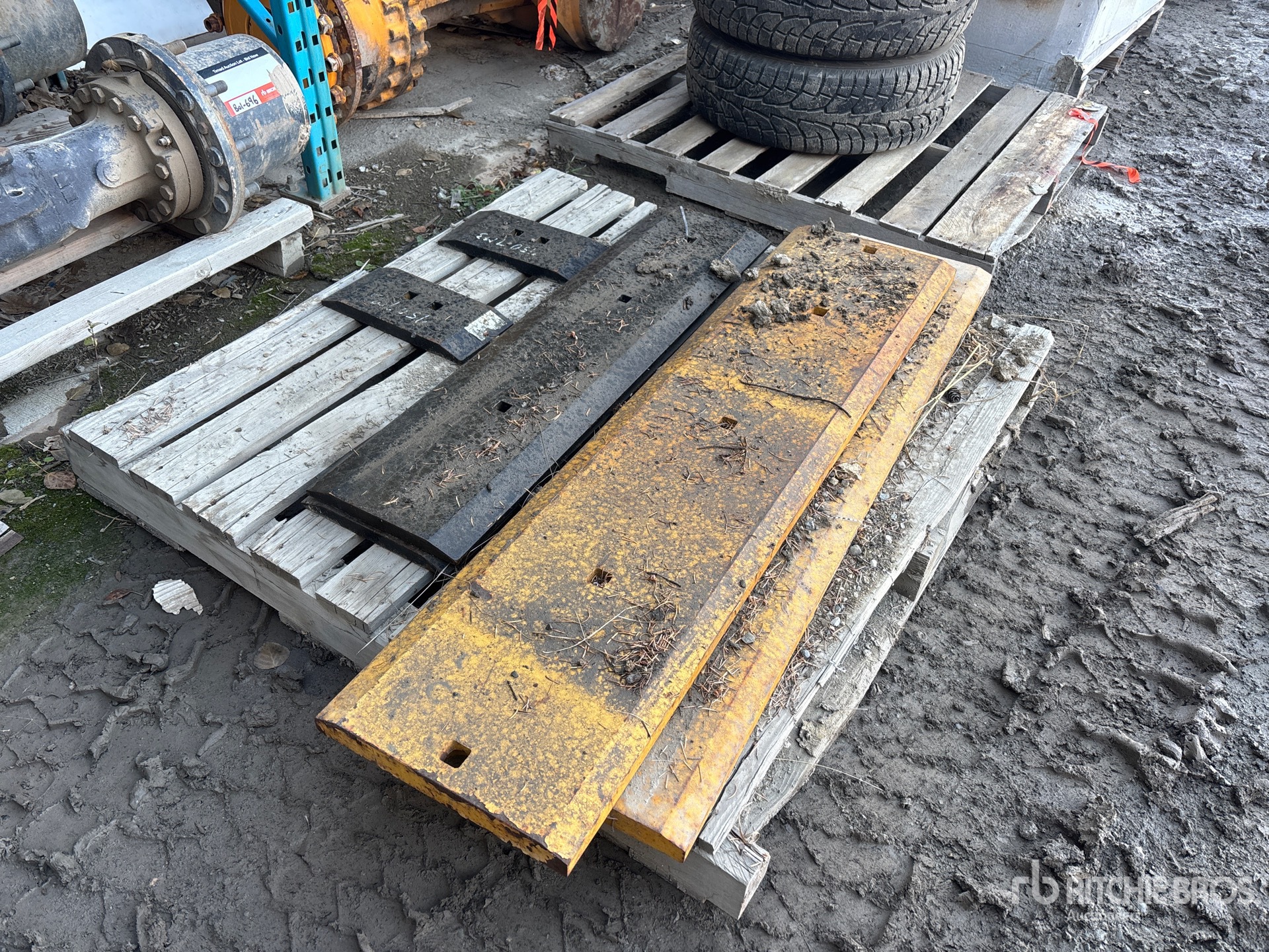 General Appearance with Image, coin avant droit