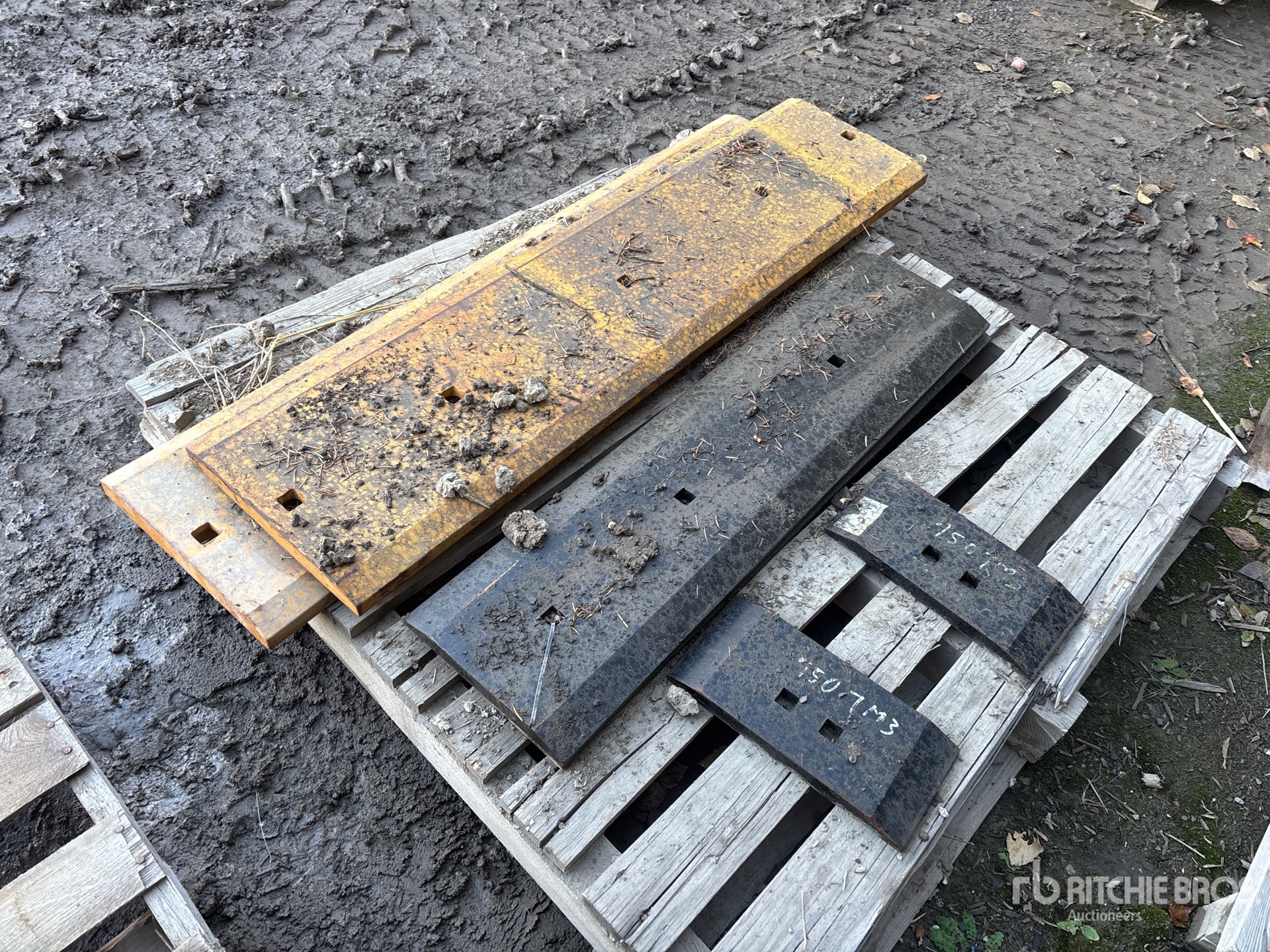 General Appearance with Image, coin arrière gauche