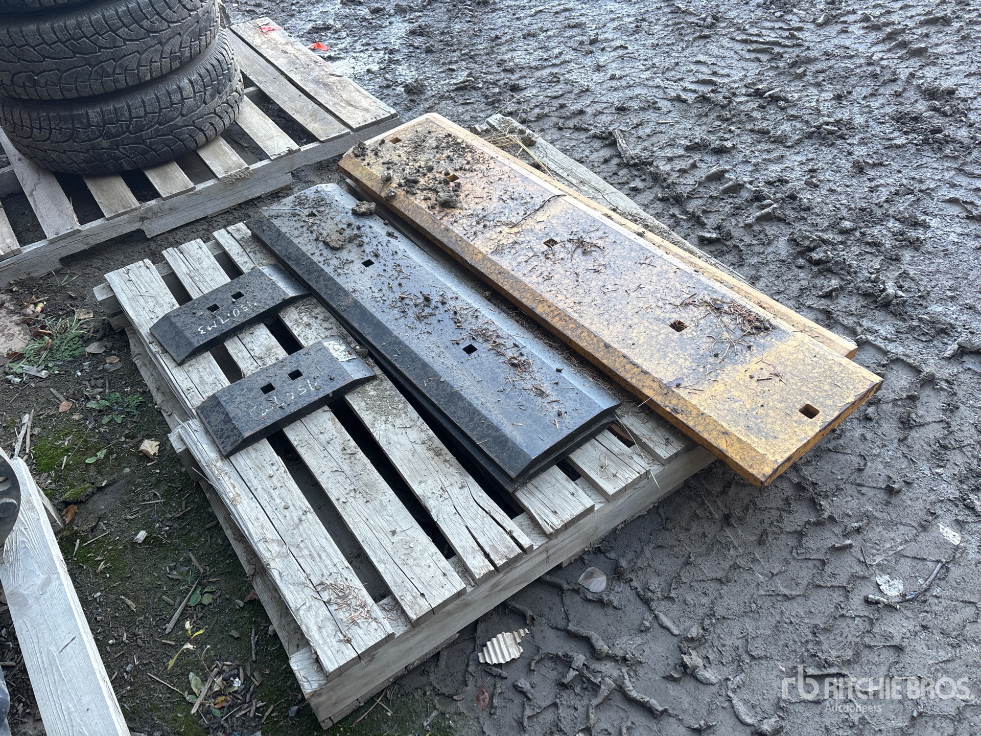 General Appearance with Image, coin arrière droit