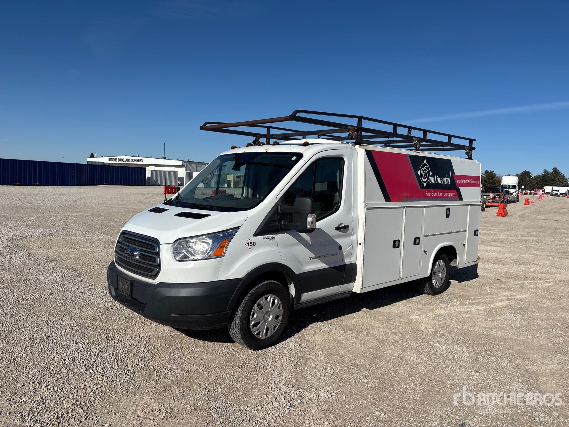 General Appearance with Spin