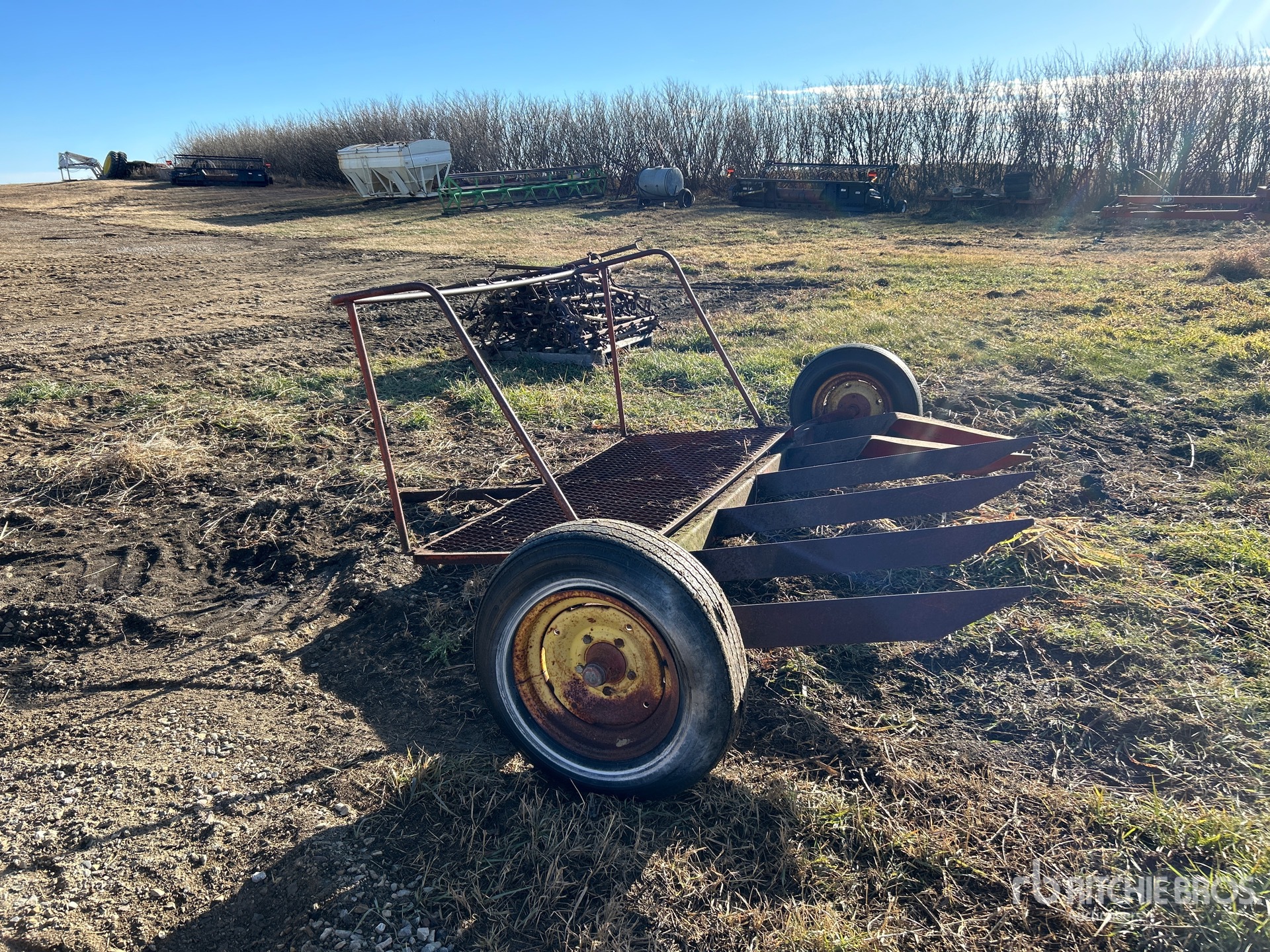 General Appearance with 