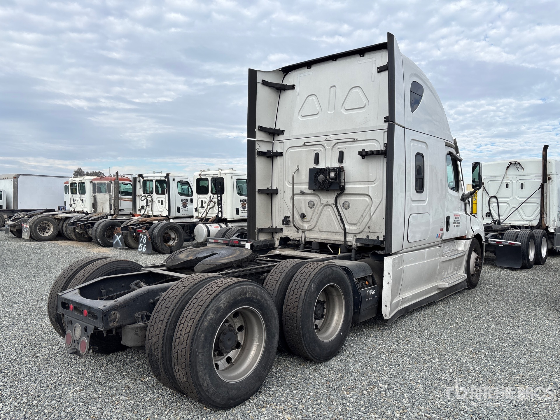 General Appearance with Zdjęcie, prawy dolny róg