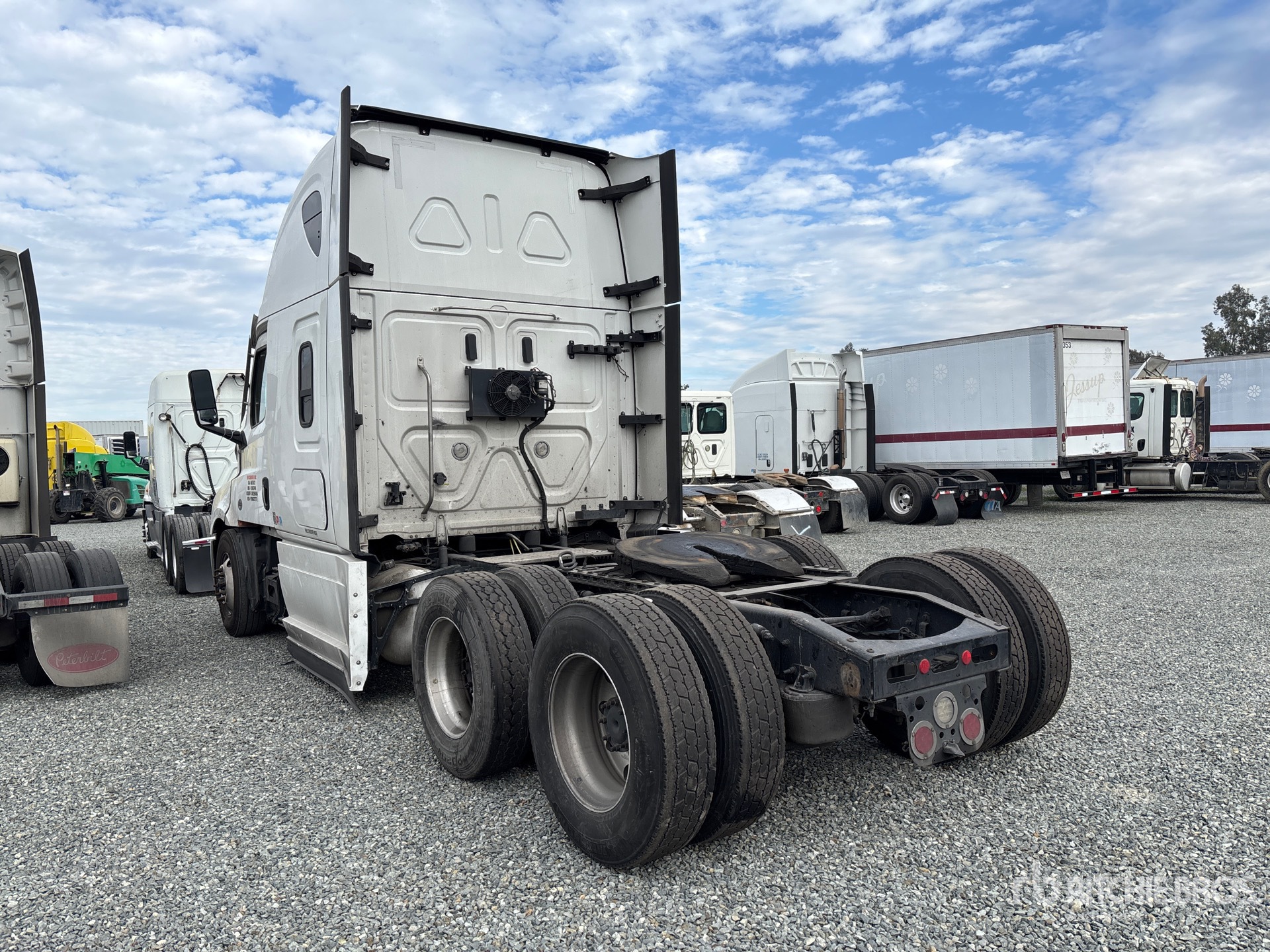 General Appearance with Zdjęcie, lewy dolny róg