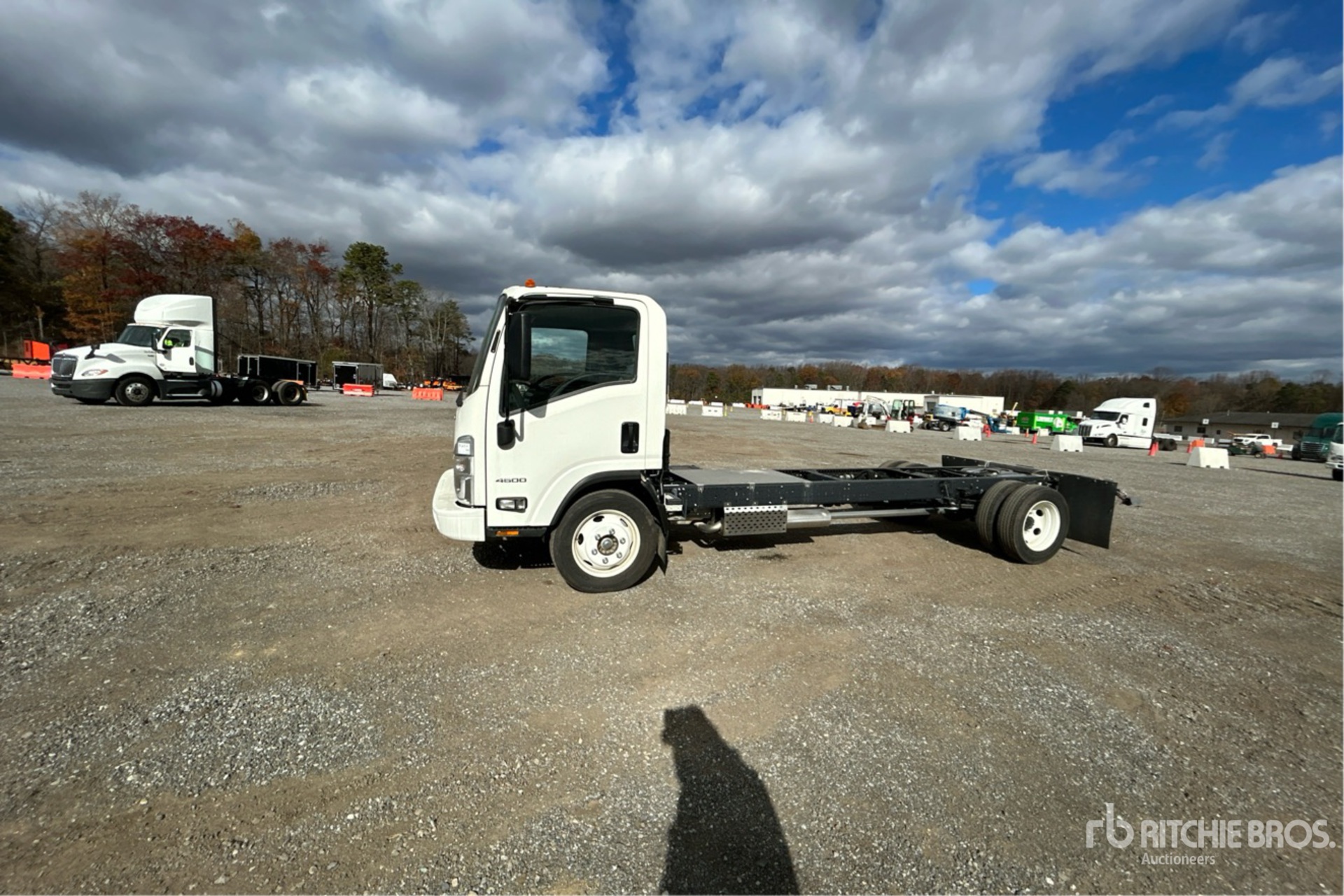 General Appearance with Spin