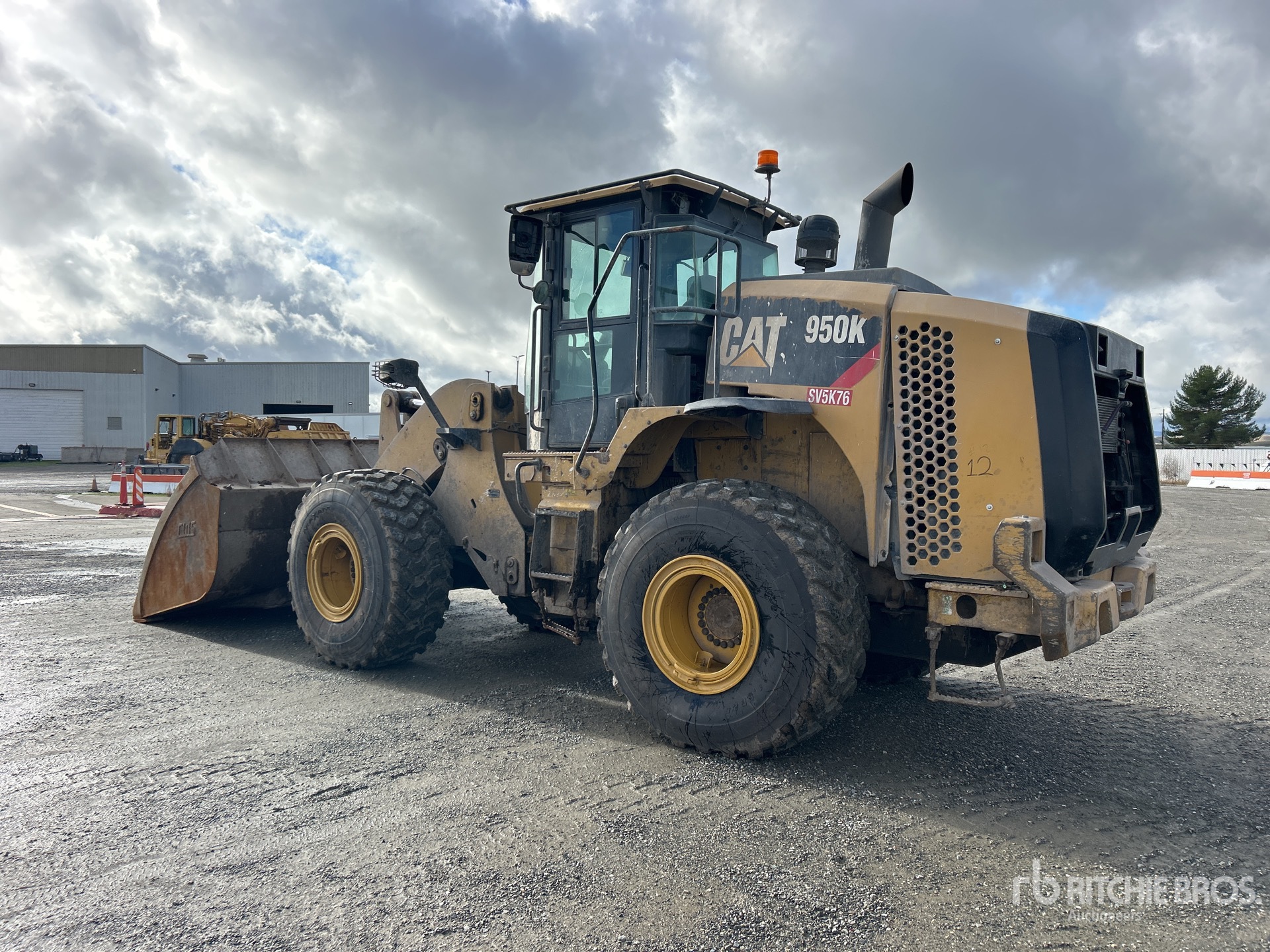 General Appearance with Zdjęcie, lewy dolny róg