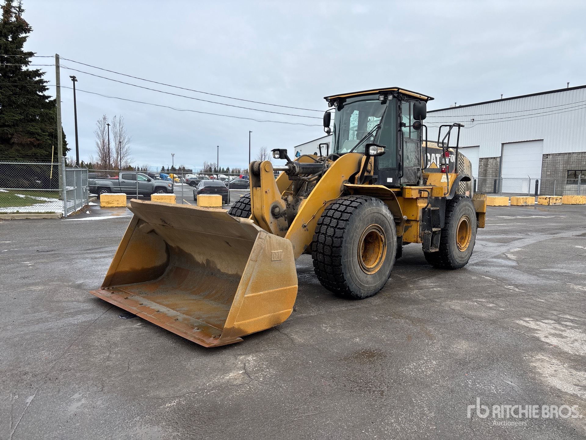 General Appearance with Spin