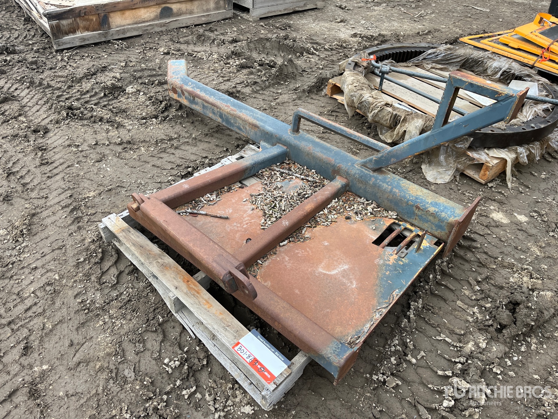 General Appearance with Bild, Ecke vorne links