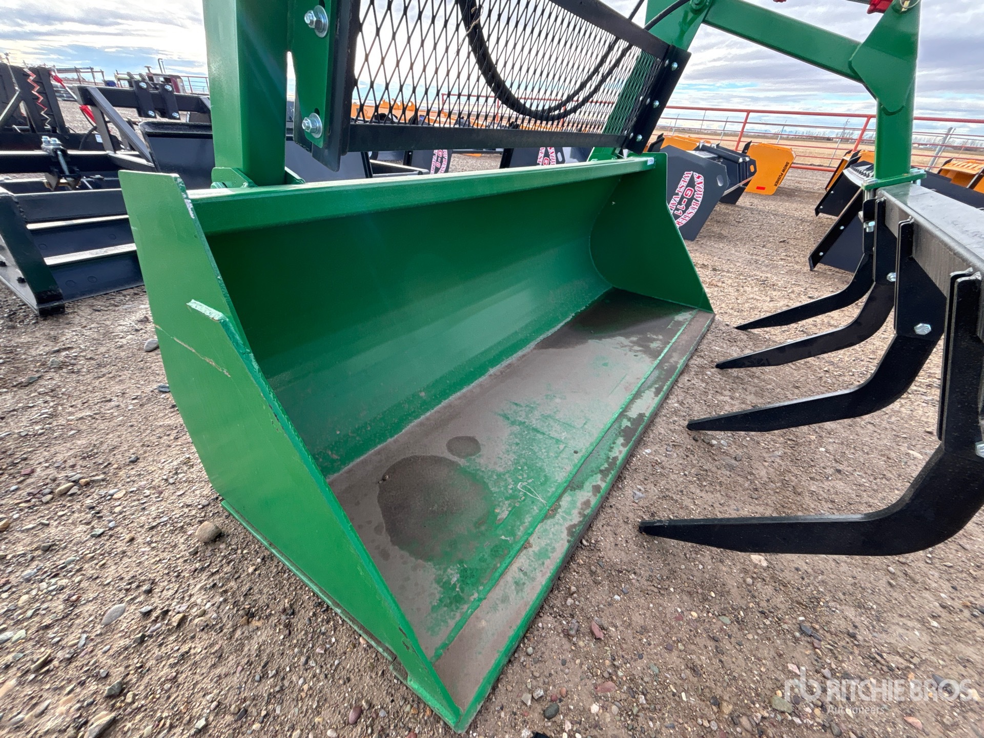 General Appearance with 