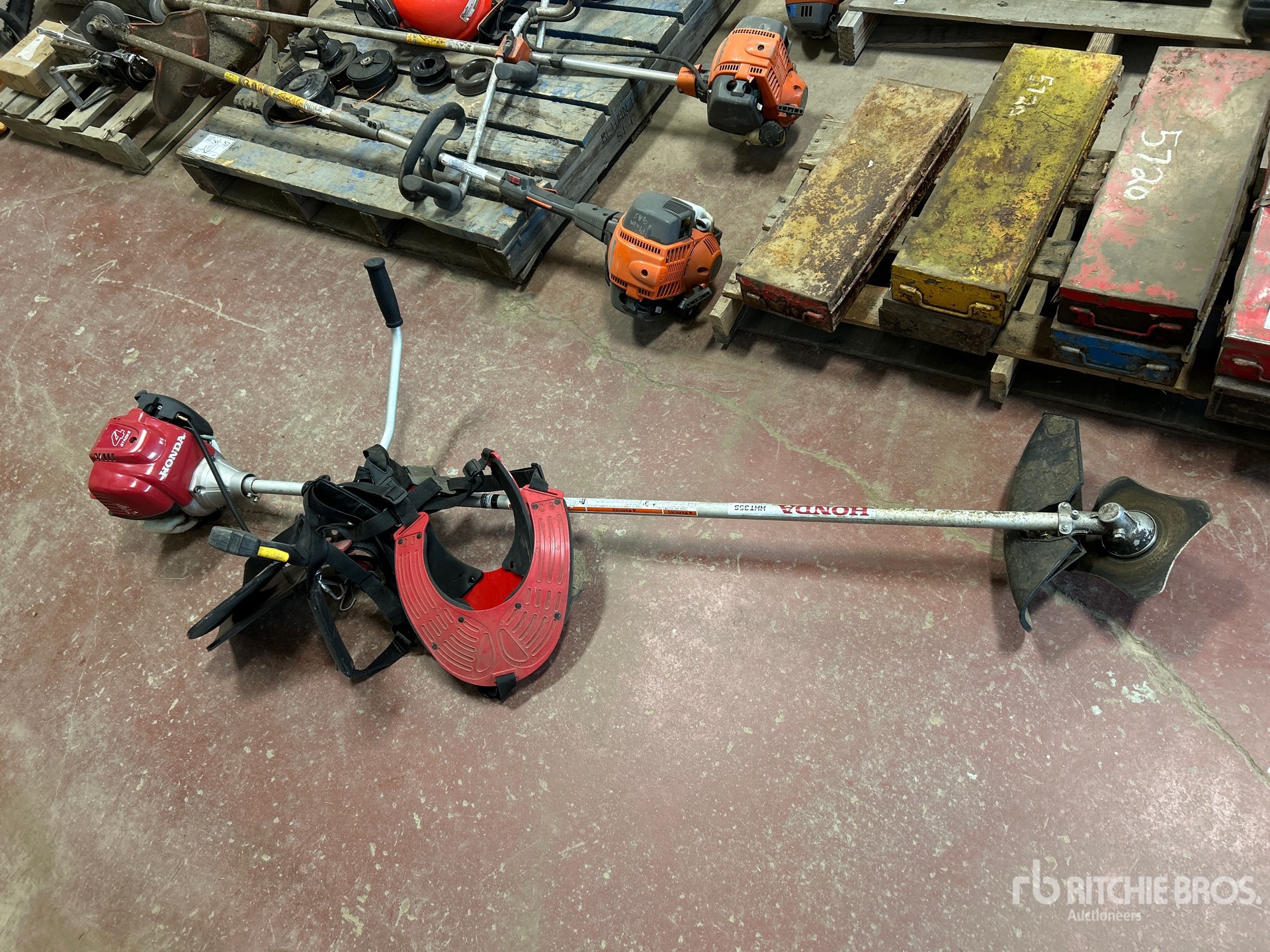 General Appearance with 