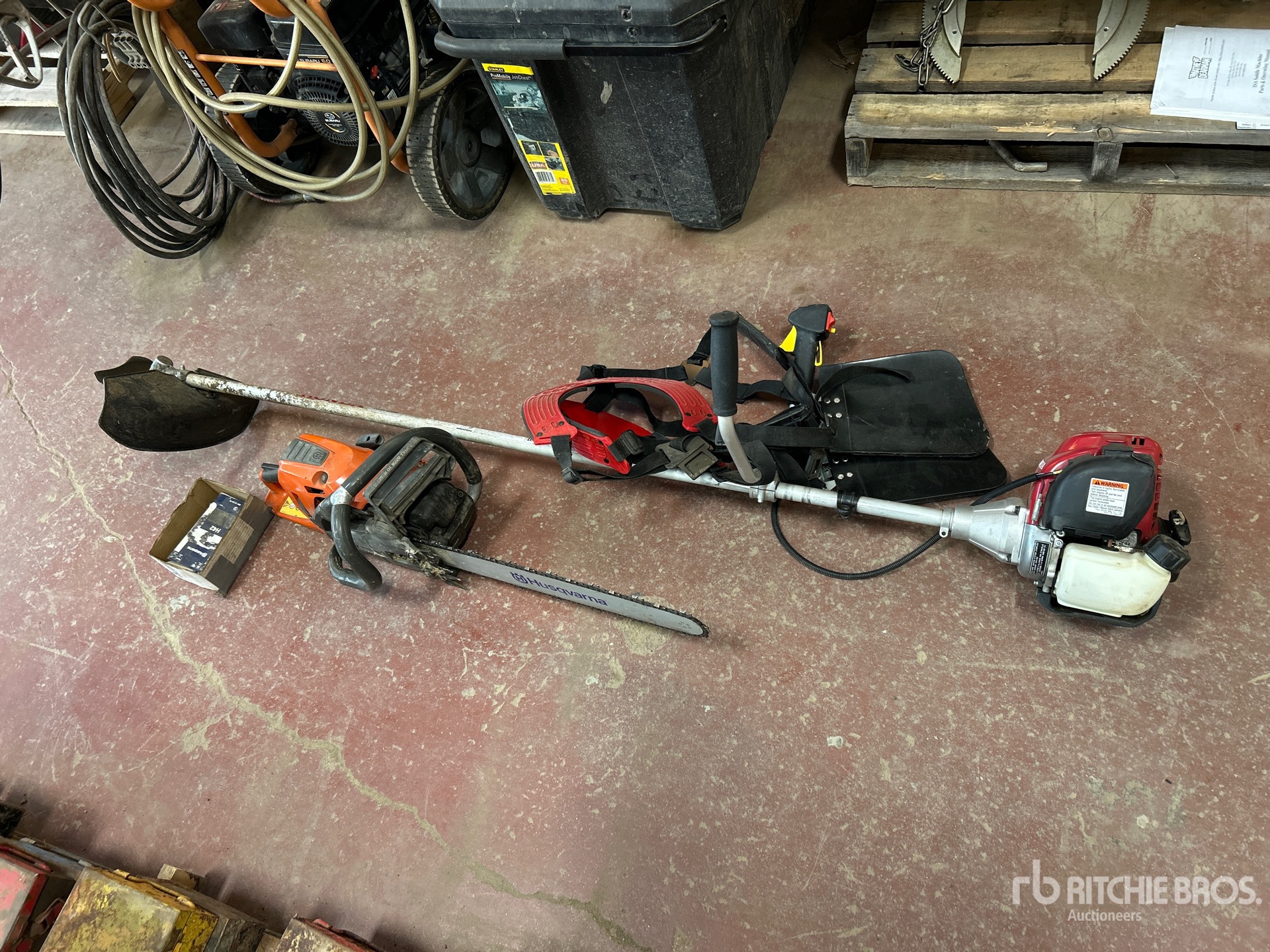 General Appearance with 