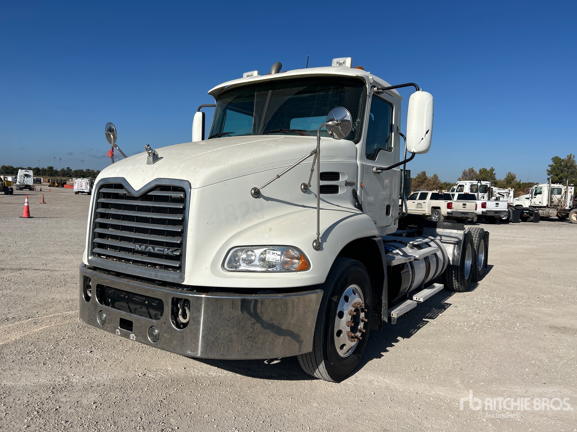 General Appearance with Spin