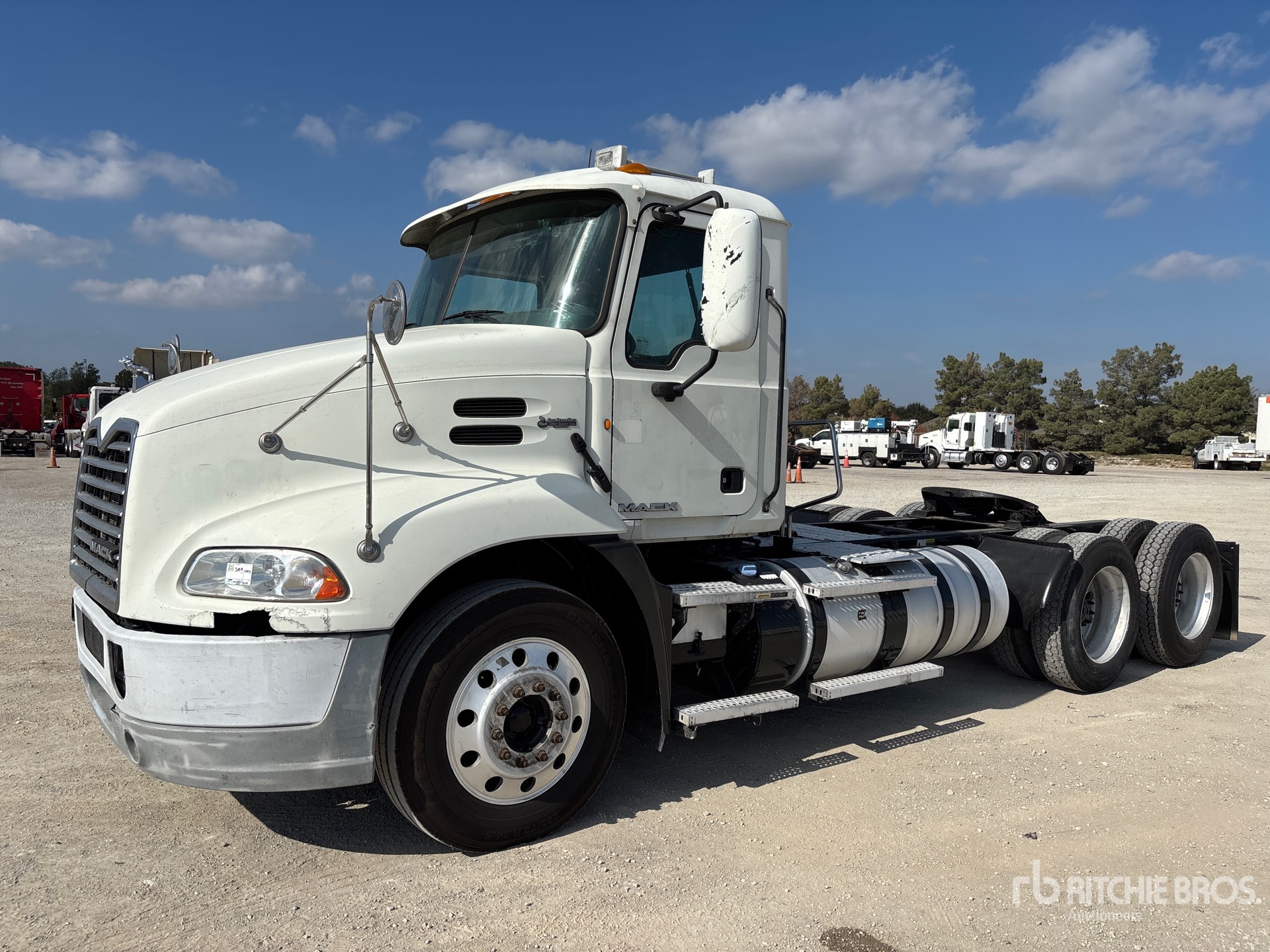 General Appearance with Spin