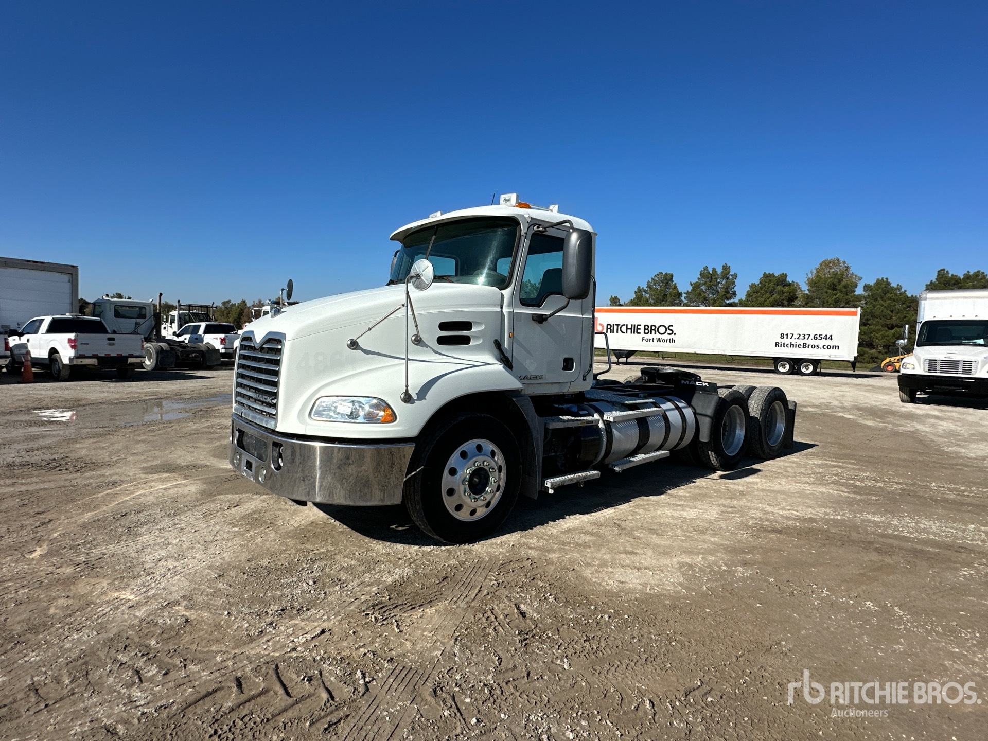 General Appearance with Spin