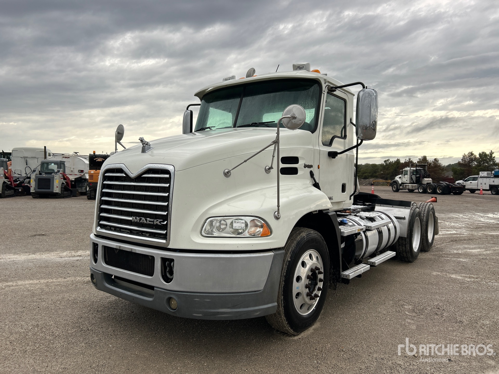 General Appearance with Spin