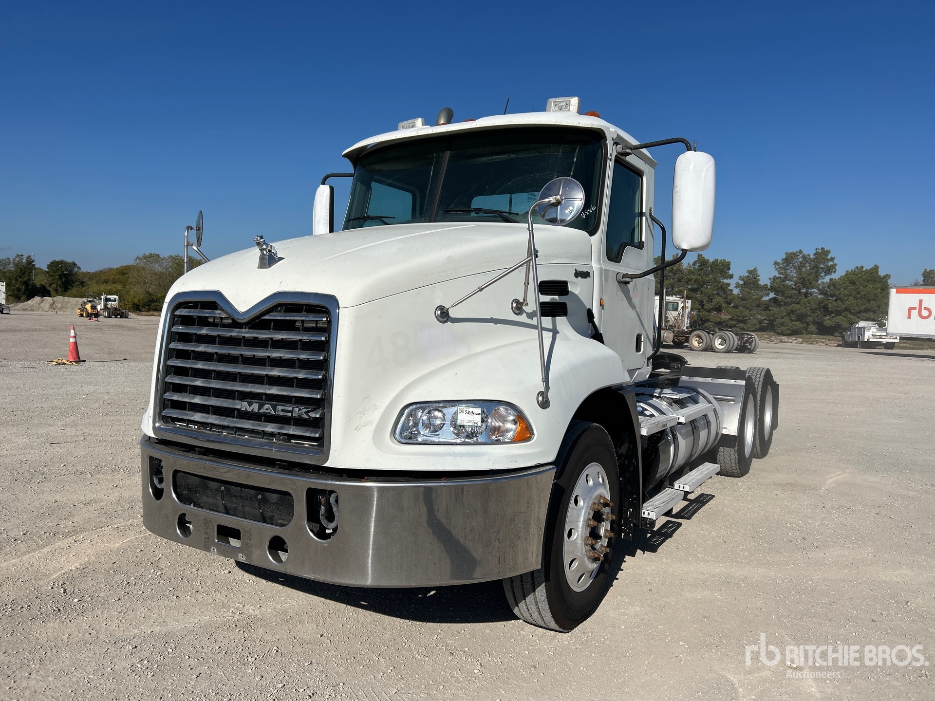 General Appearance with Spin