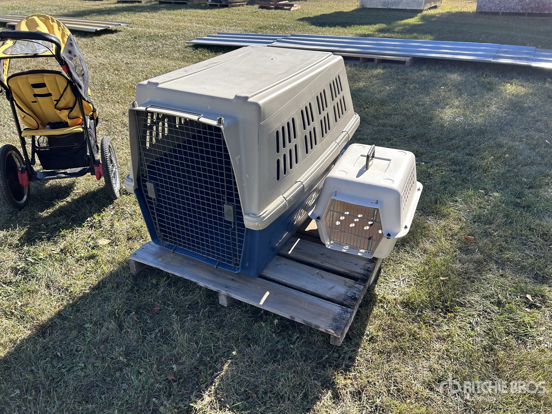 General Appearance with 