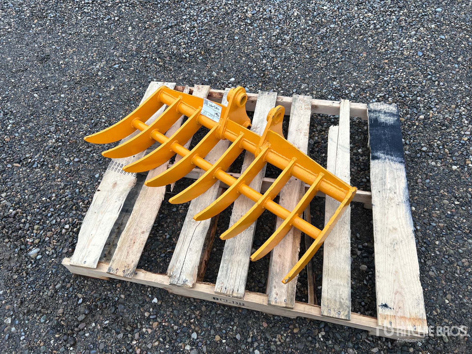 General Appearance with Bild, Ecke vorne links