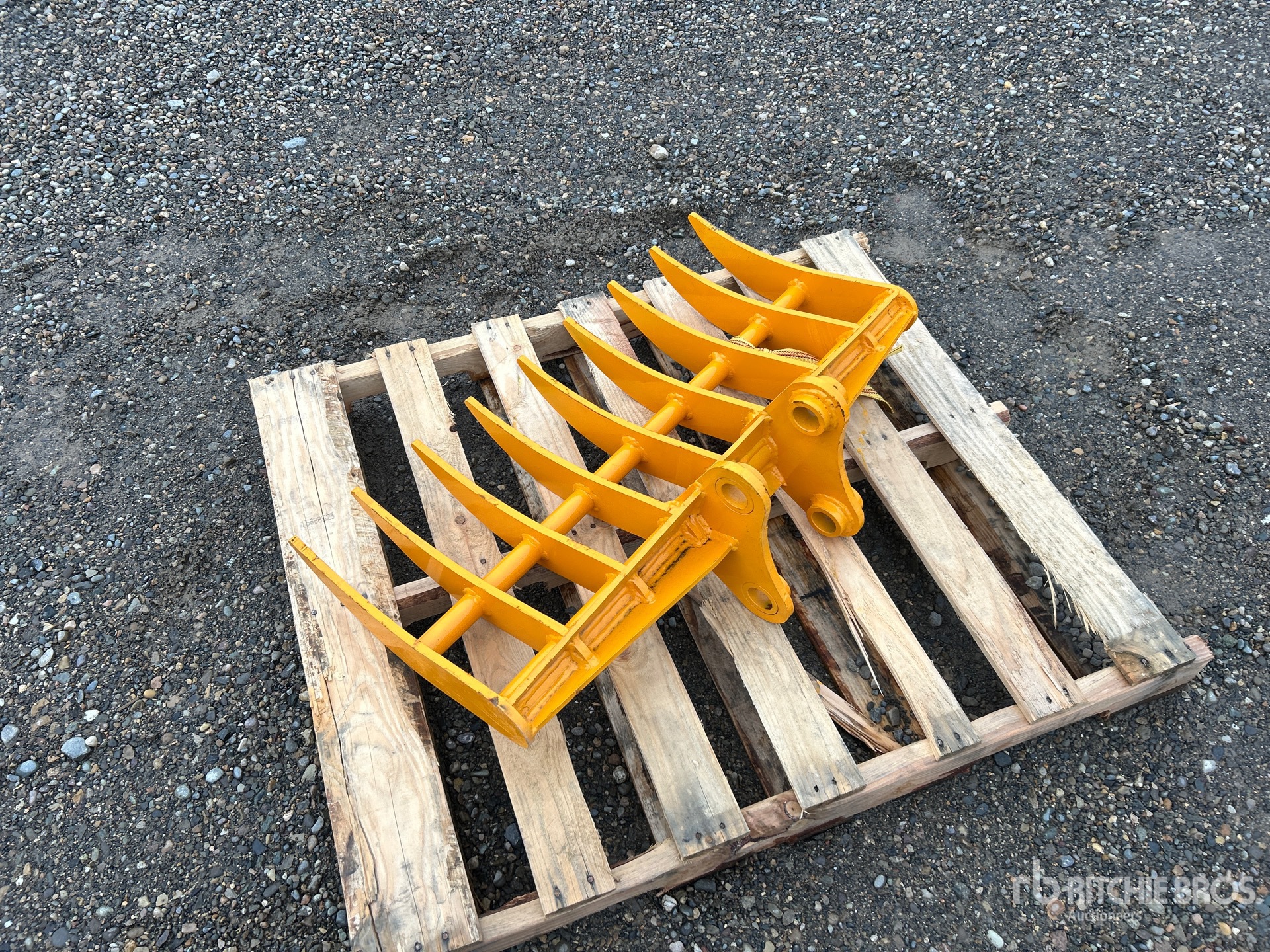 General Appearance with Bild, Ecke hinten links