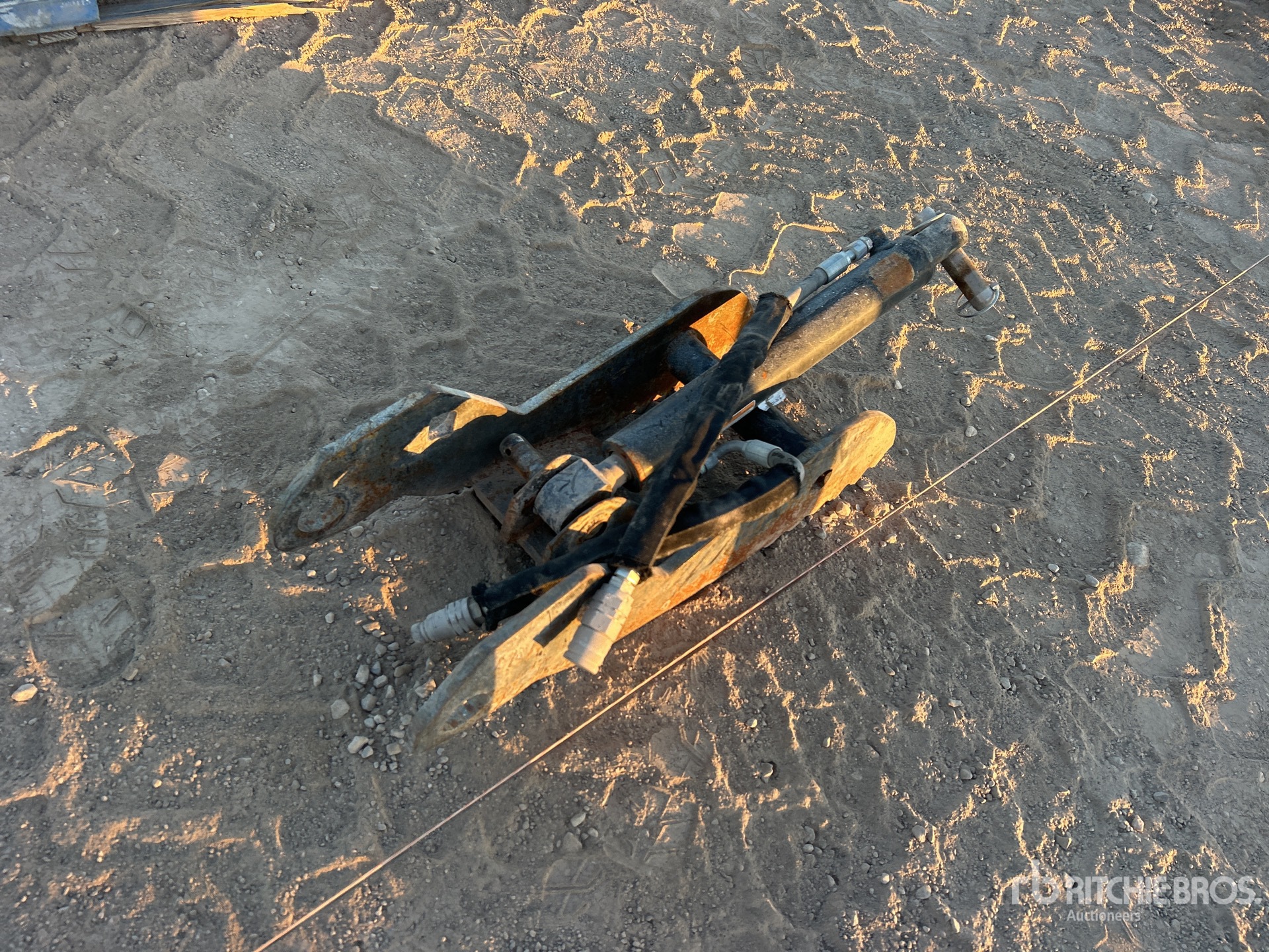 General Appearance with Bild, Ecke vorne links