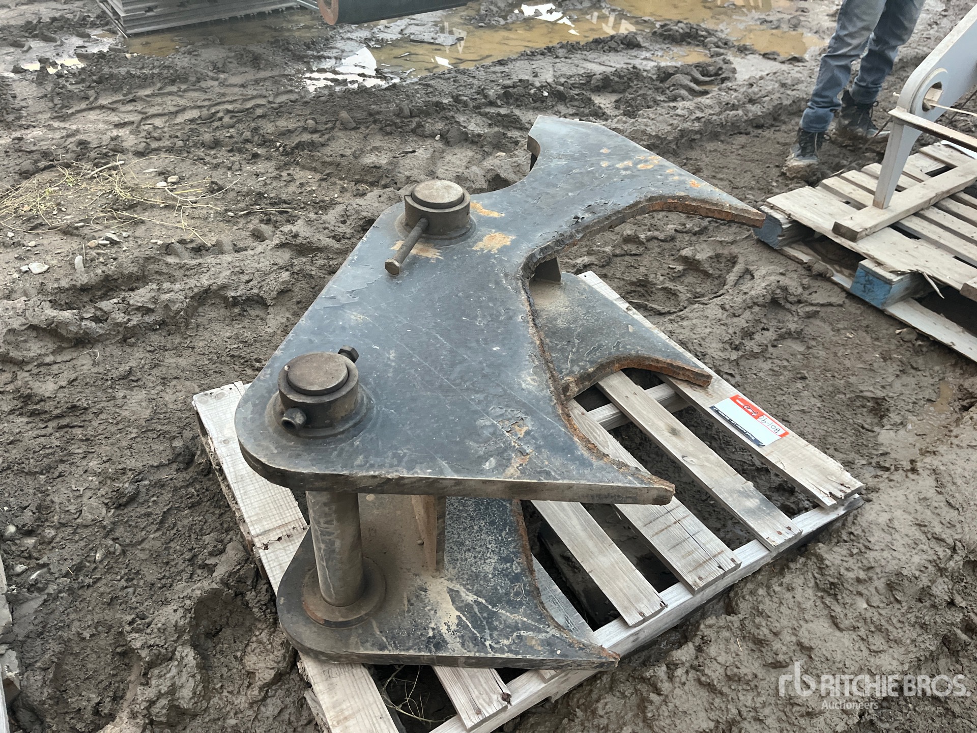 General Appearance with Foto, angolo anteriore sinistro