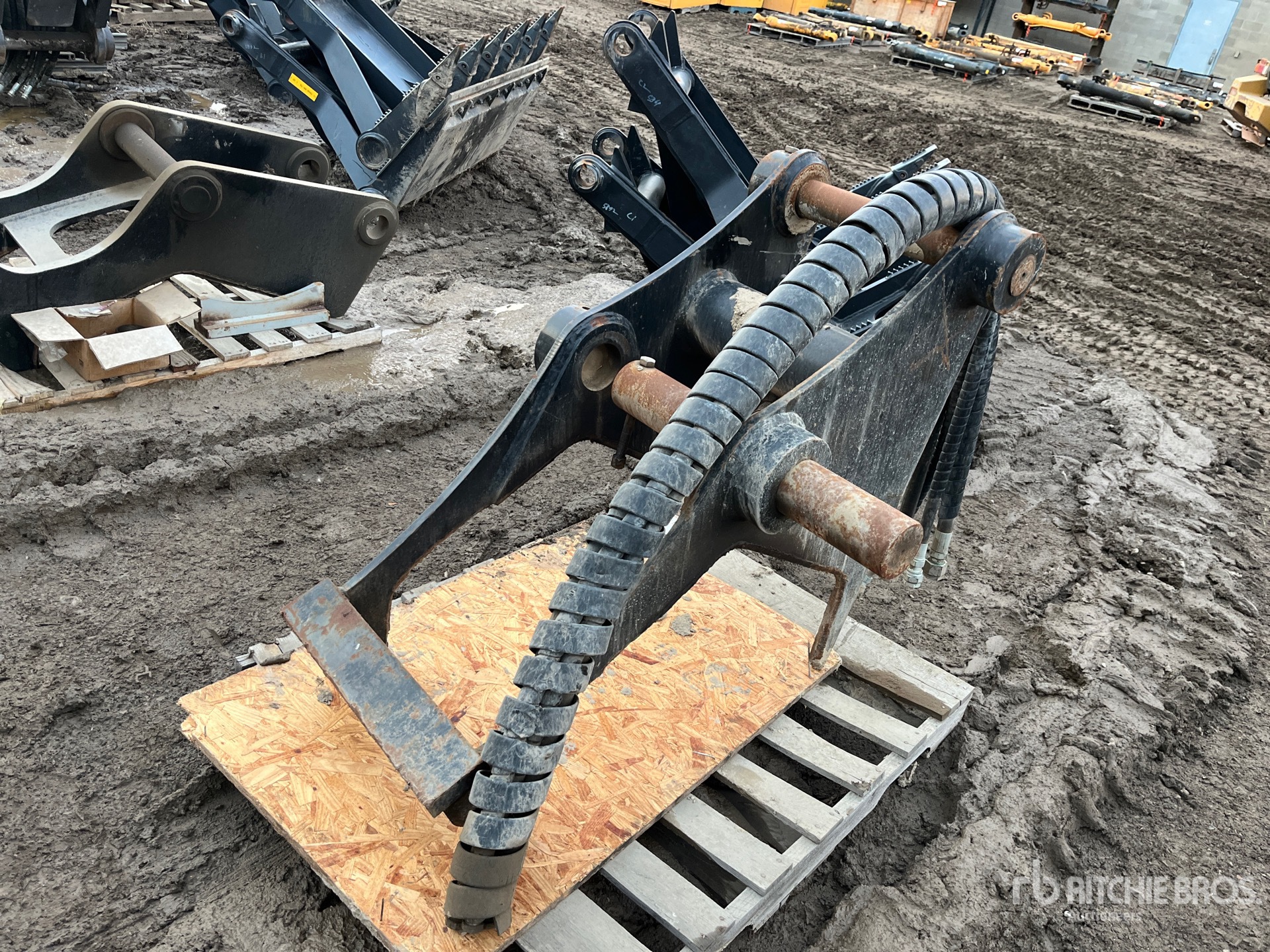 General Appearance with Foto, angolo anteriore sinistro