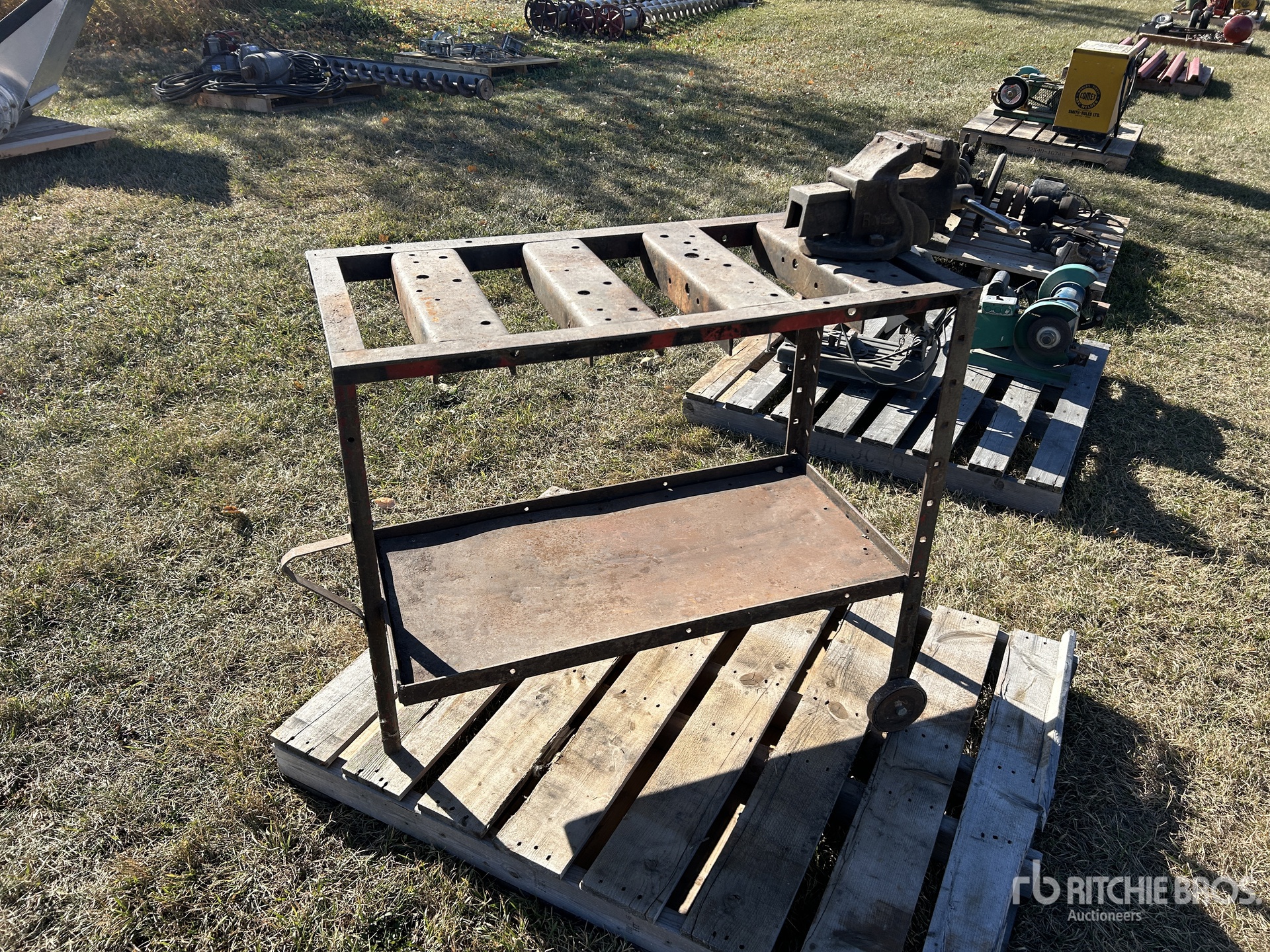 General Appearance with