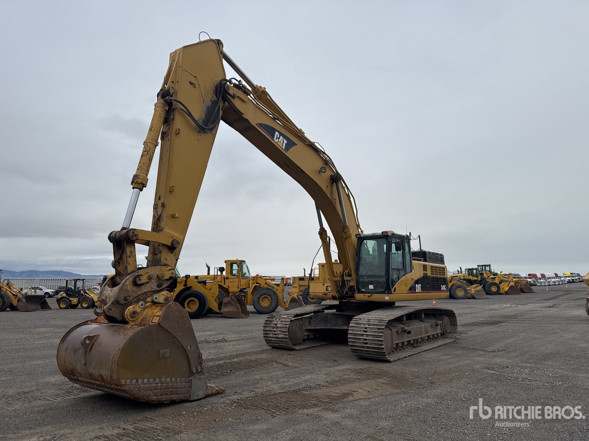 General Appearance with Spin