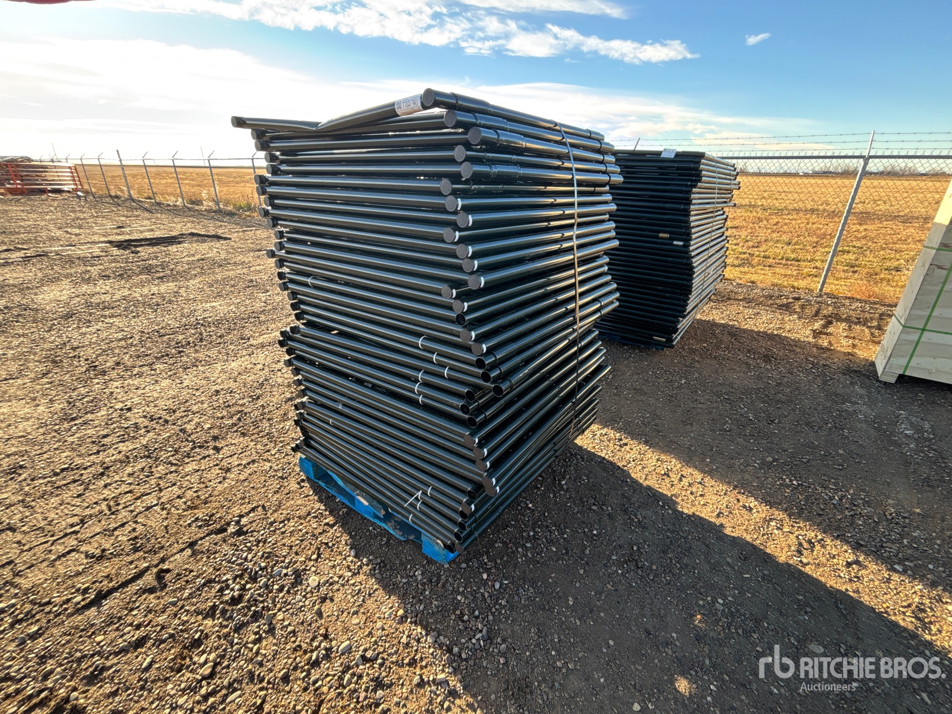 General Appearance with Foto, angolo anteriore sinistro