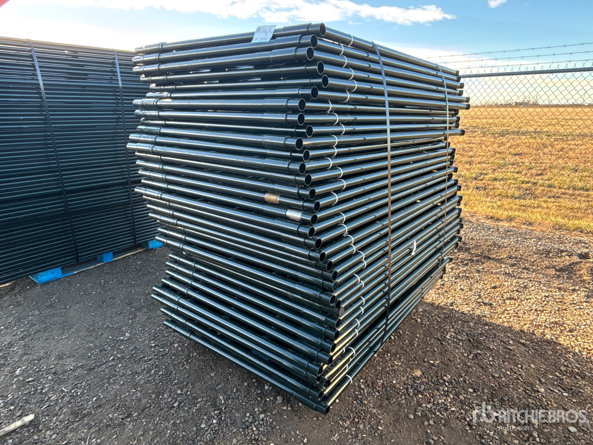 General Appearance with Foto, angolo anteriore sinistro