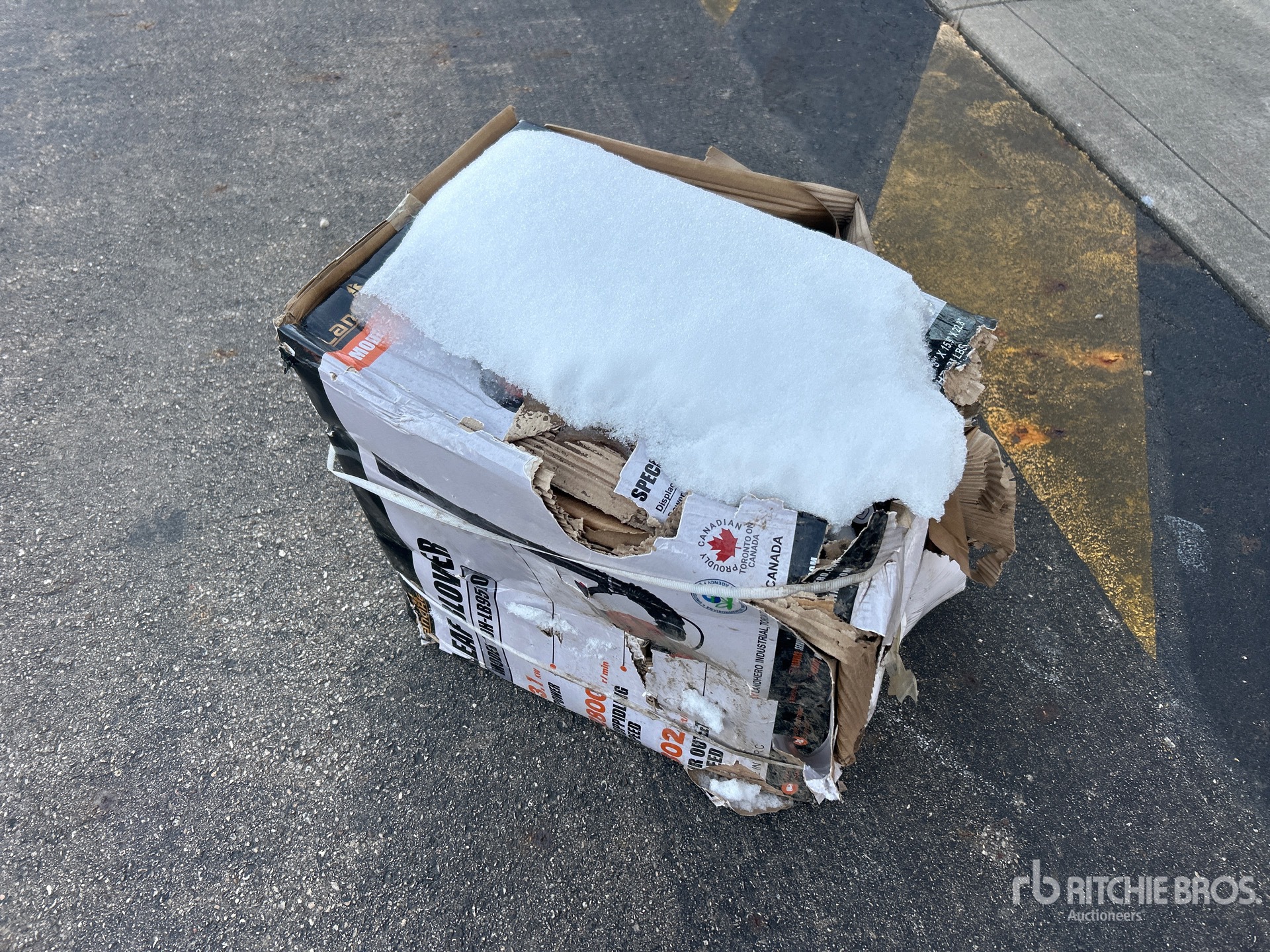 General Appearance with Picture, Left Rear Corner