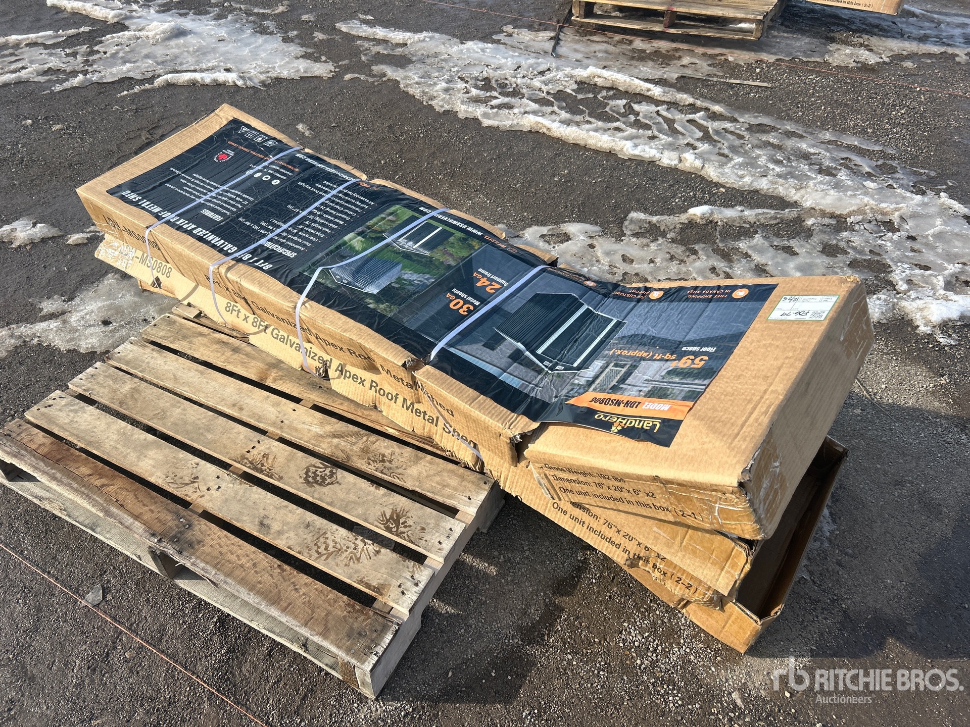 General Appearance with Zdjęcie, lewy górny róg