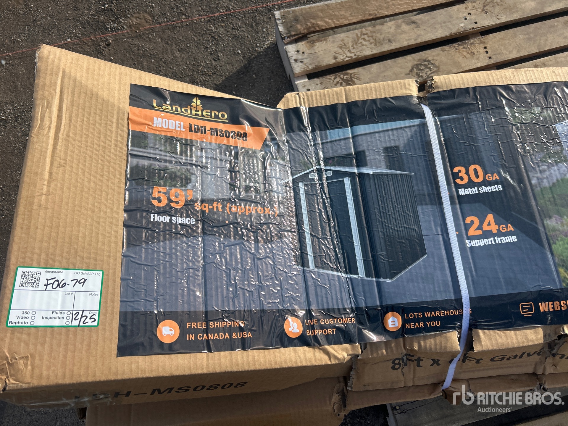 General Appearance with 