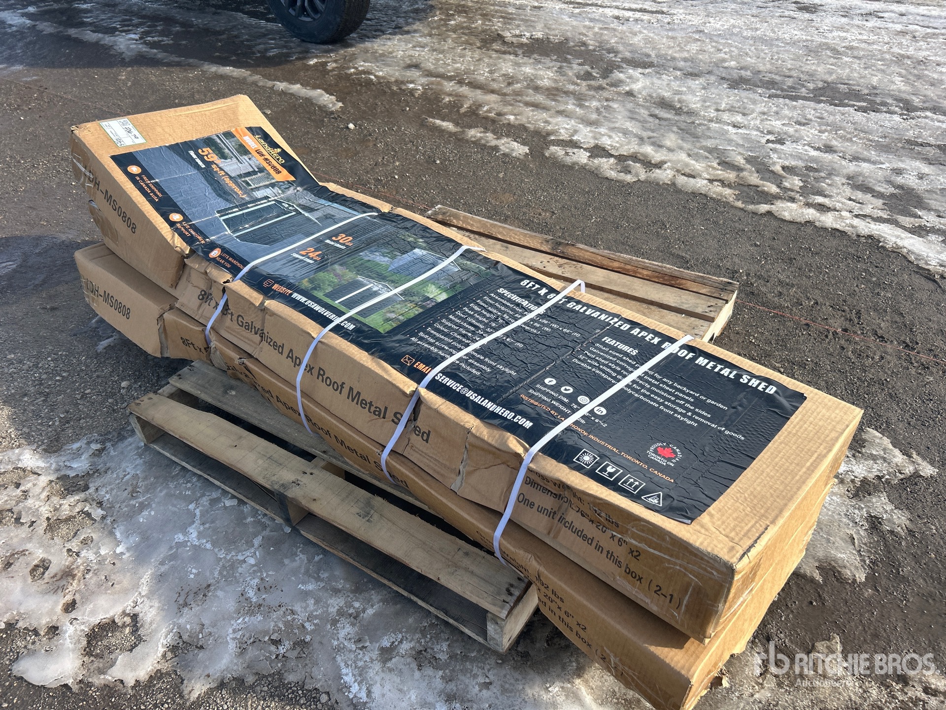 General Appearance with Zdjęcie, prawy dolny róg