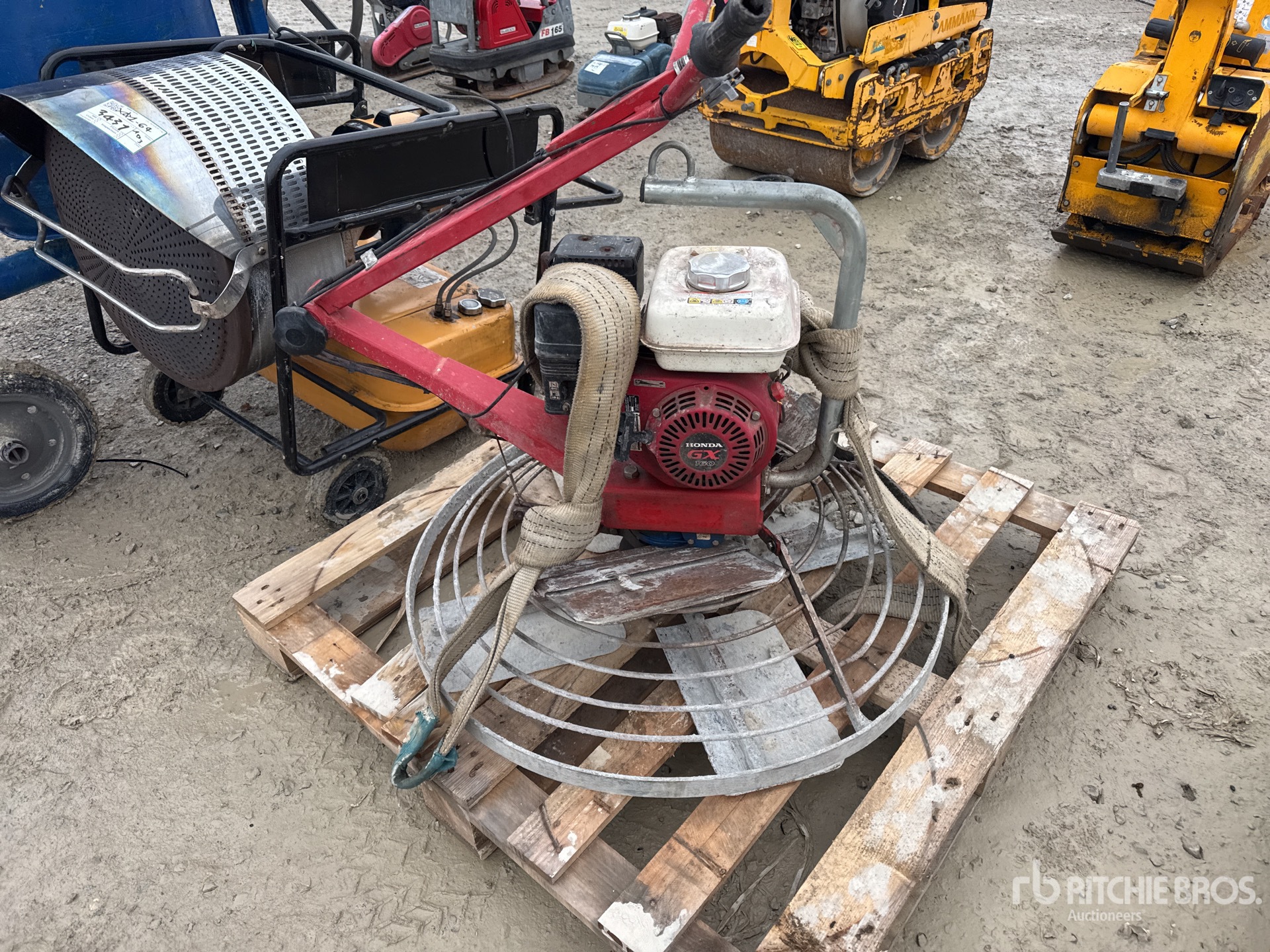 General Appearance with 