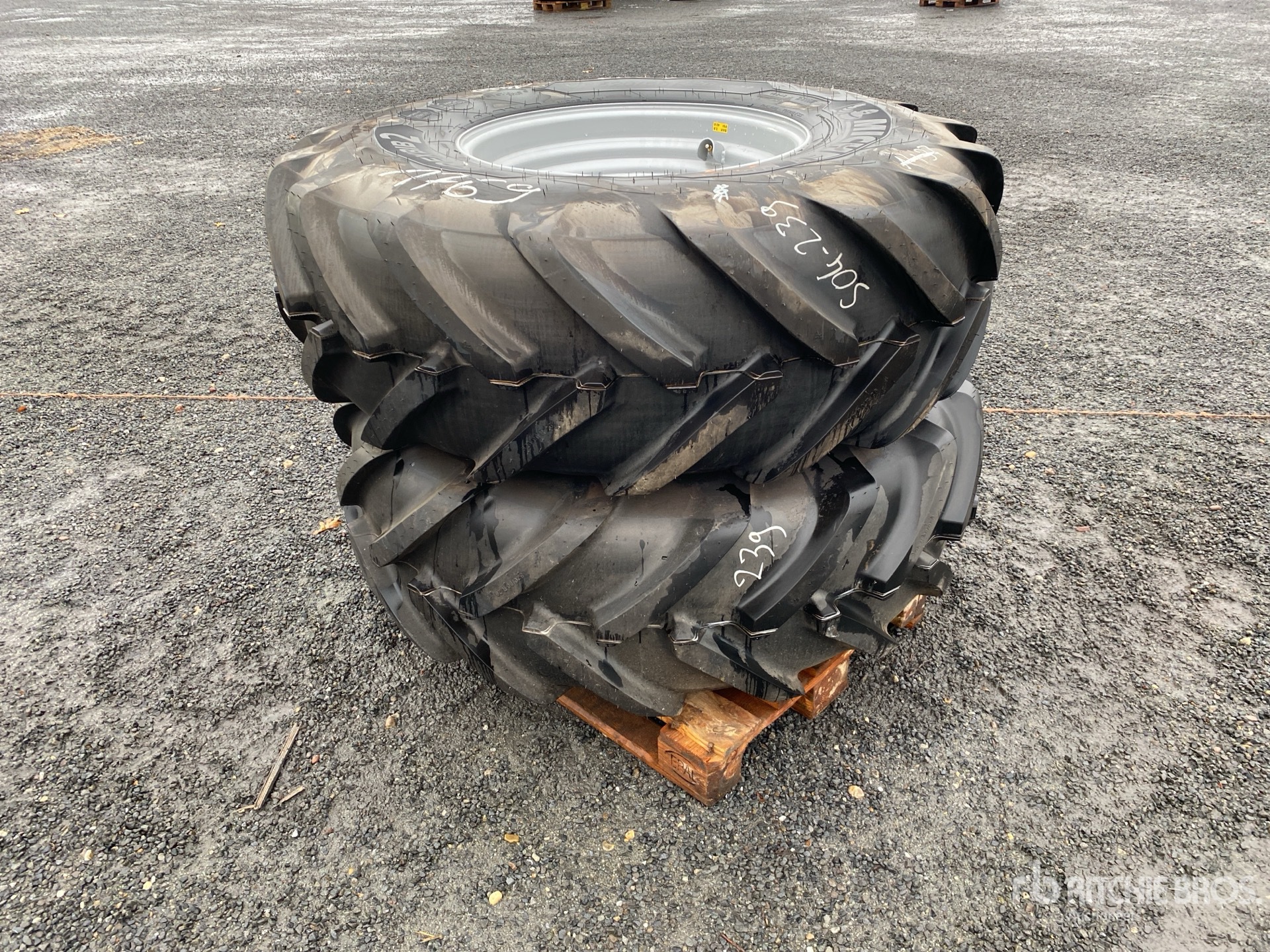 General Appearance with 