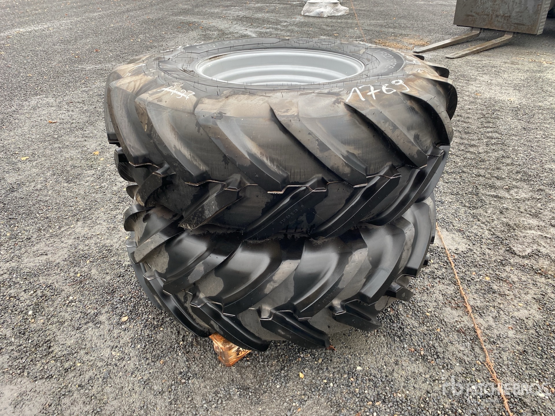 General Appearance with 