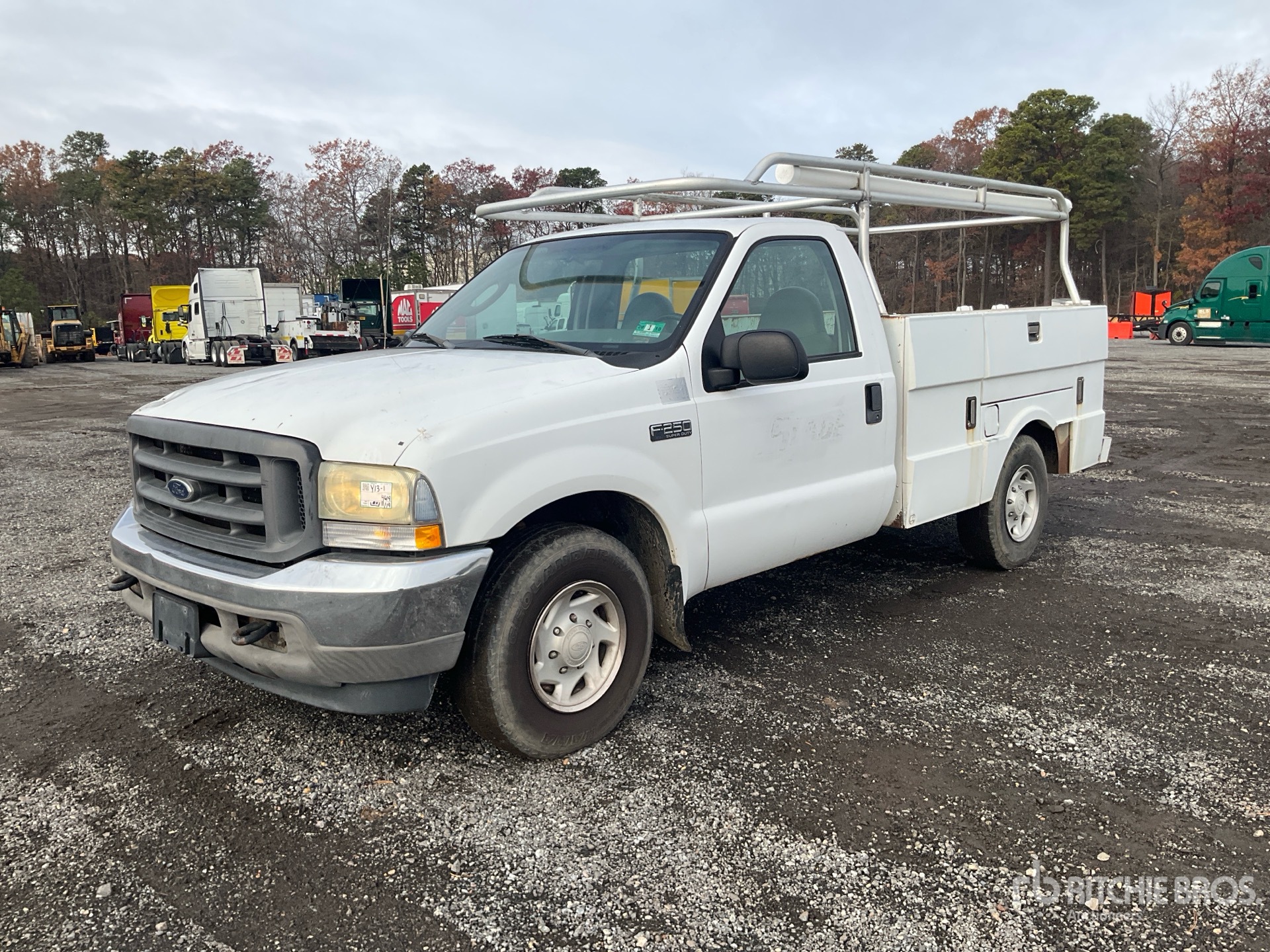 General Appearance with Spin