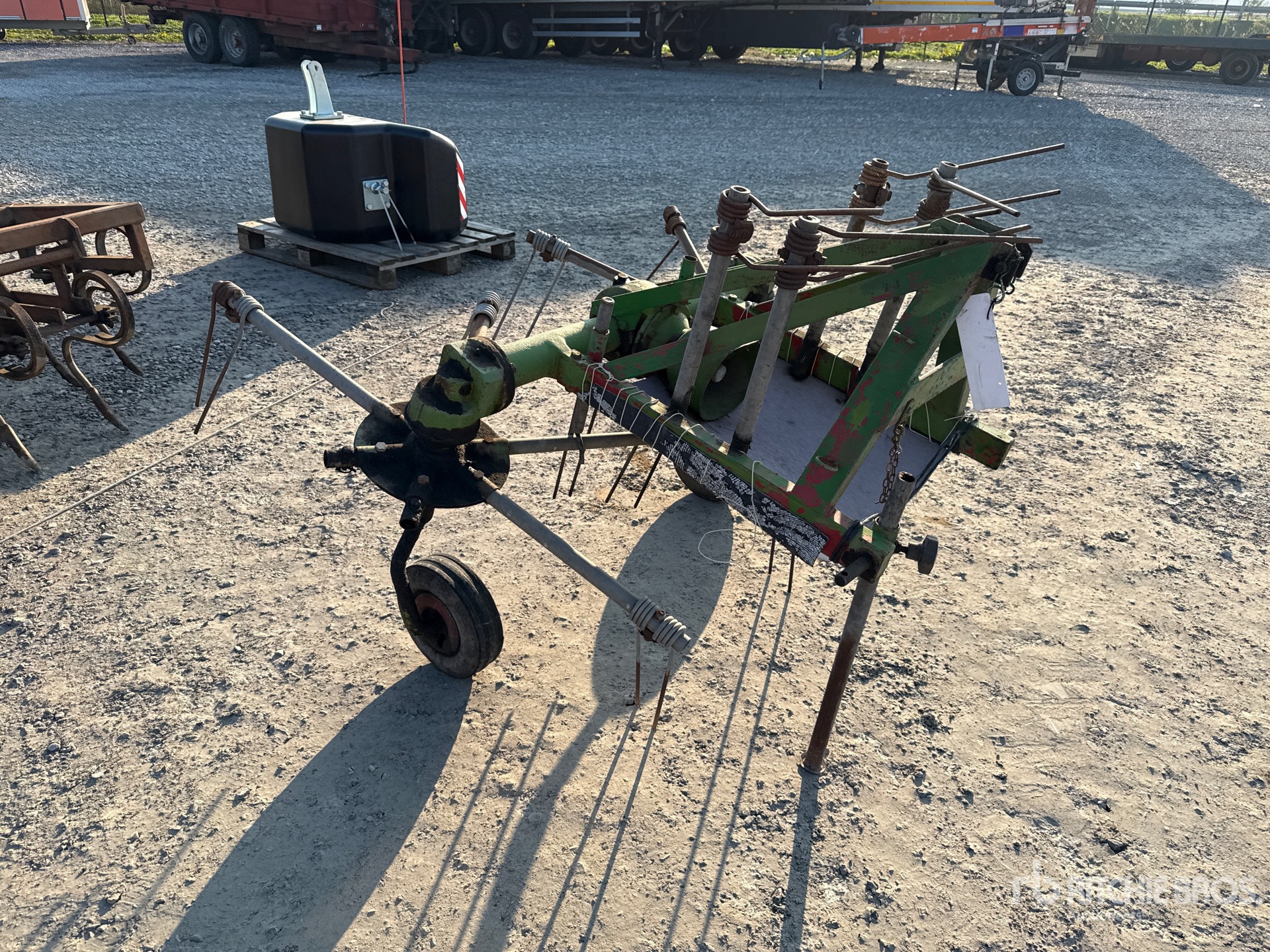 General Appearance with 