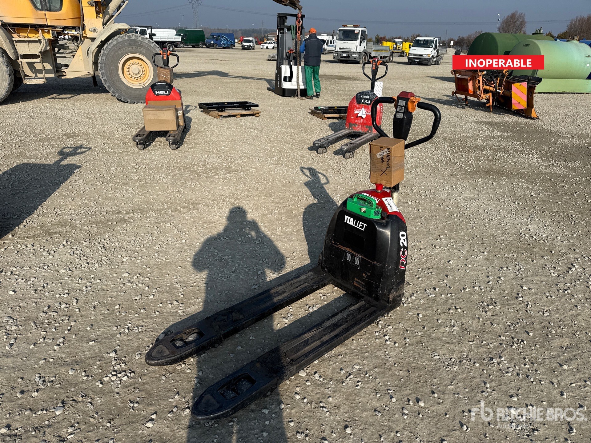 General Appearance with 