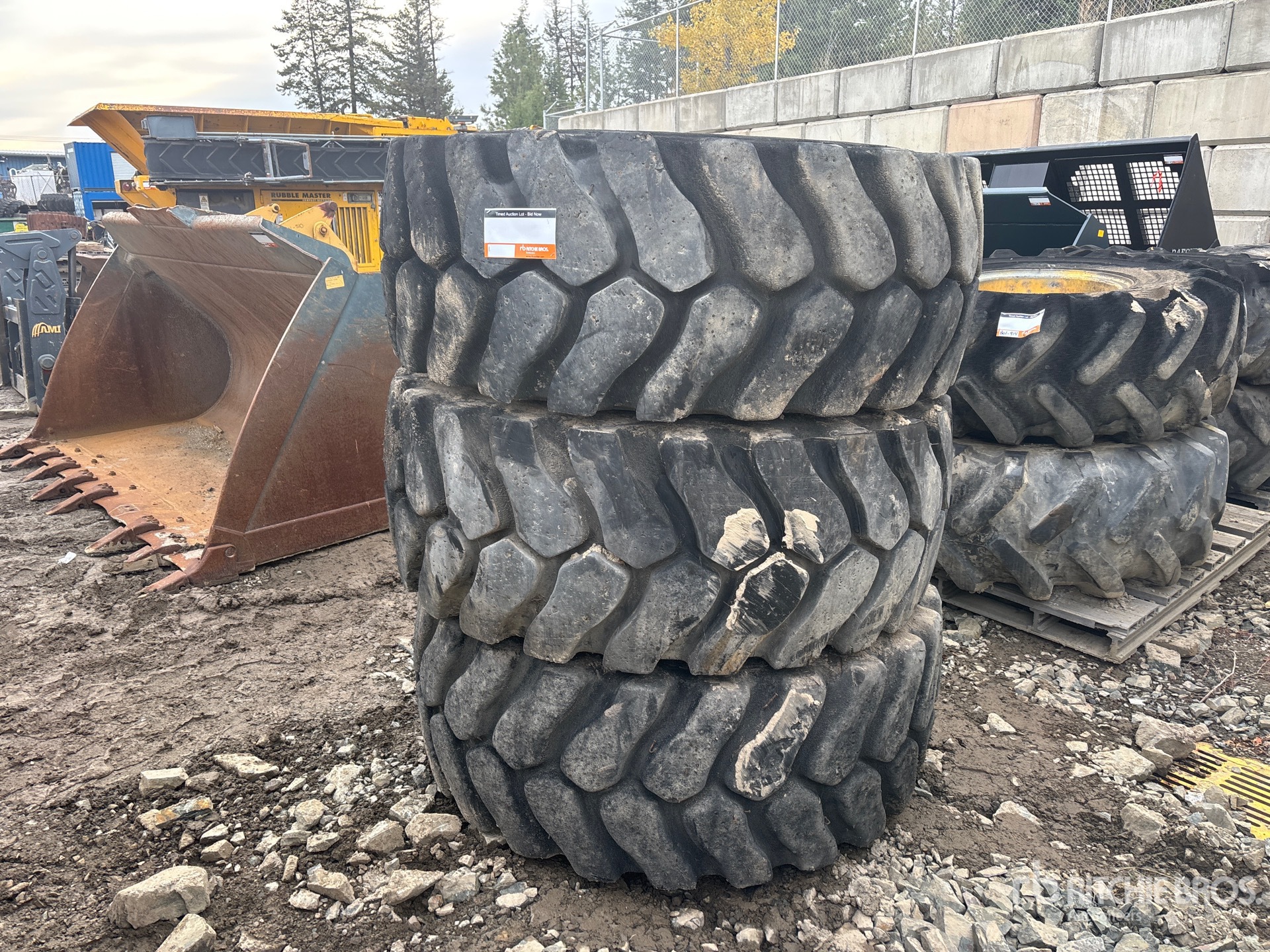 General Appearance with Bild, Ecke vorne links