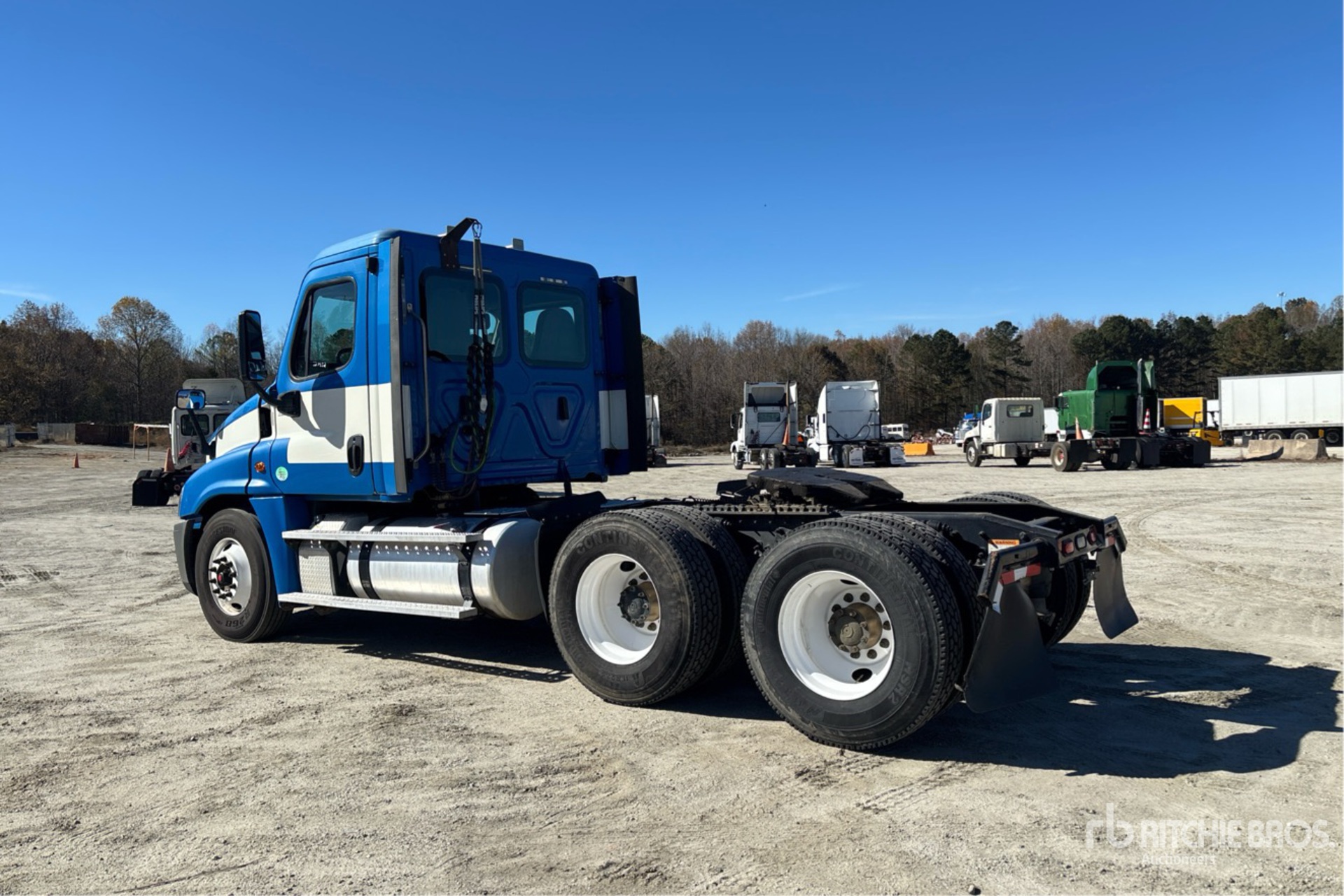 General Appearance with Zdjęcie, lewy dolny róg