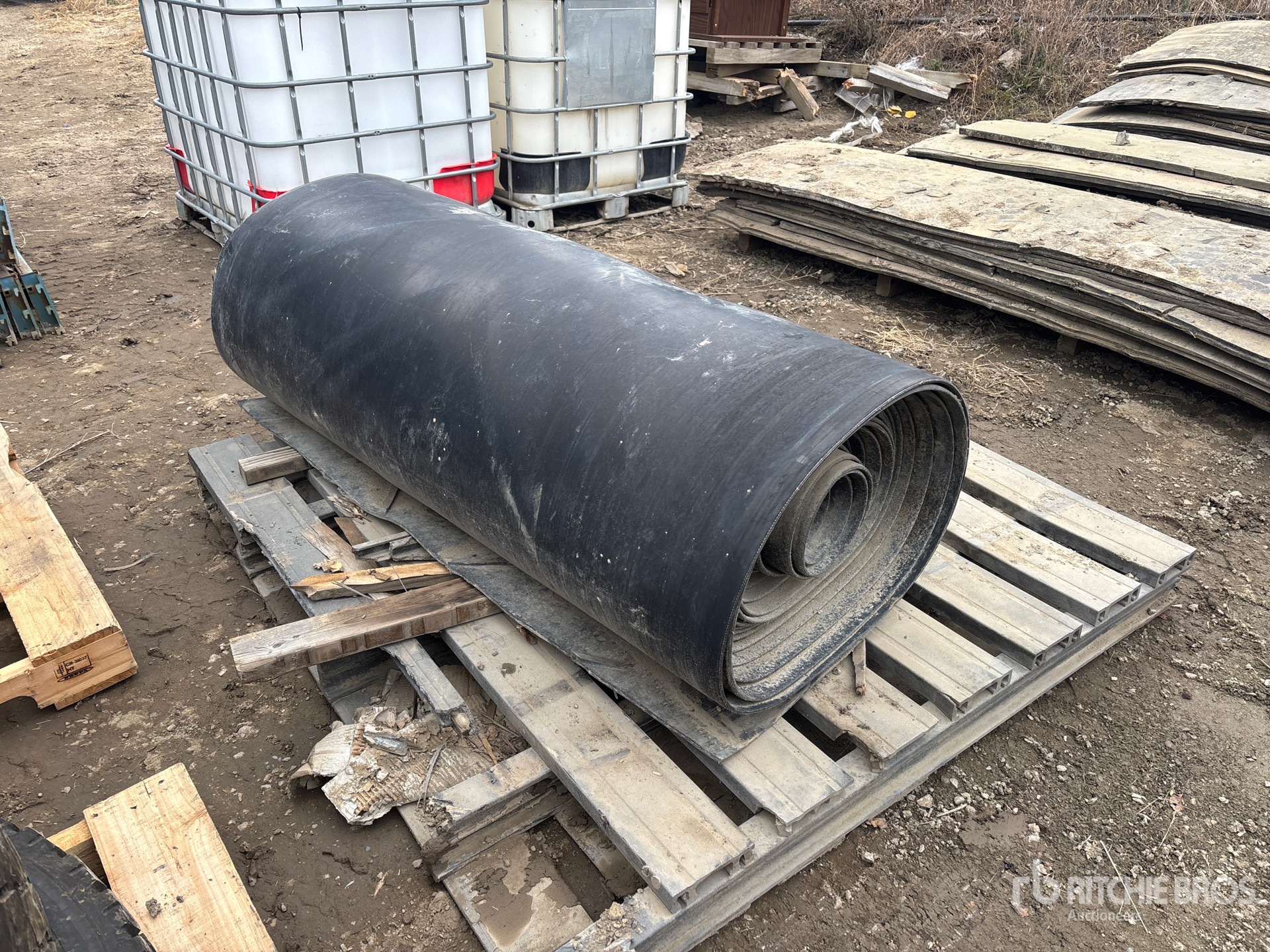 General Appearance with Bild, Ecke vorne links