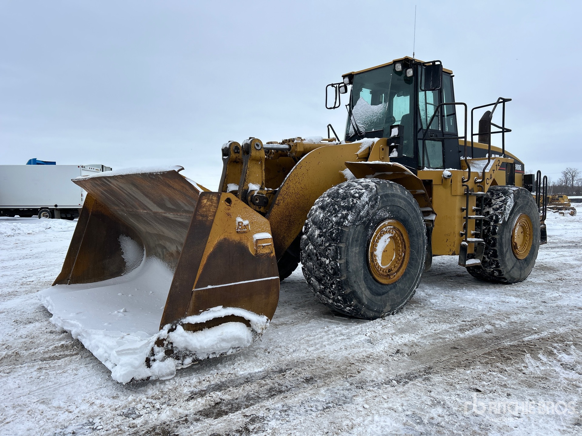 General Appearance with Spin