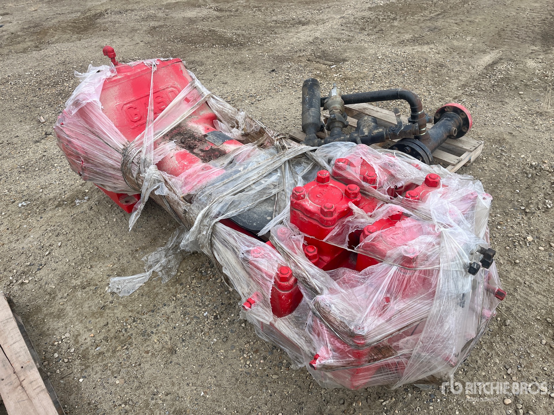 General Appearance with Bild, Ecke vorne links