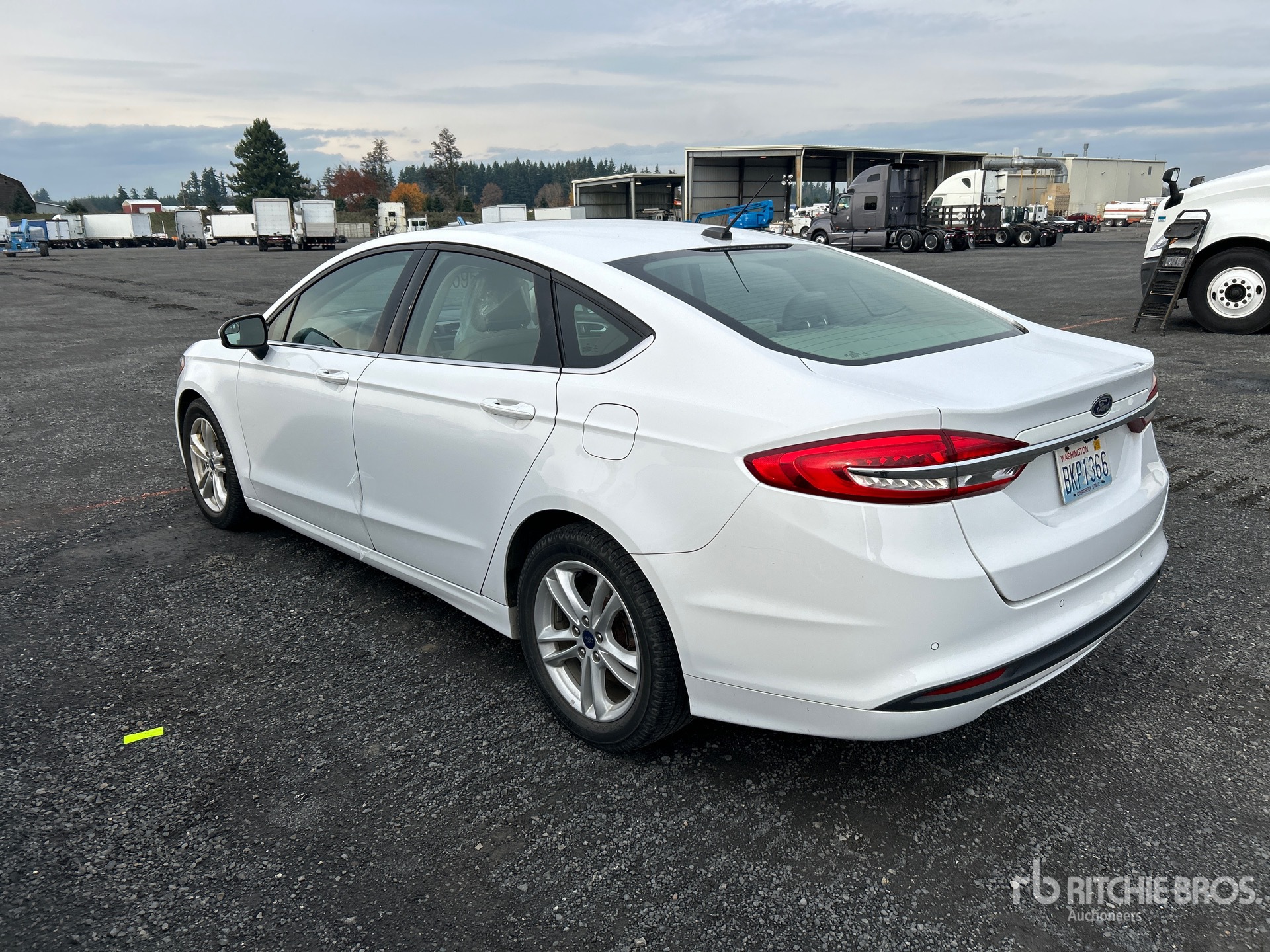 General Appearance with Zdjęcie, lewy dolny róg