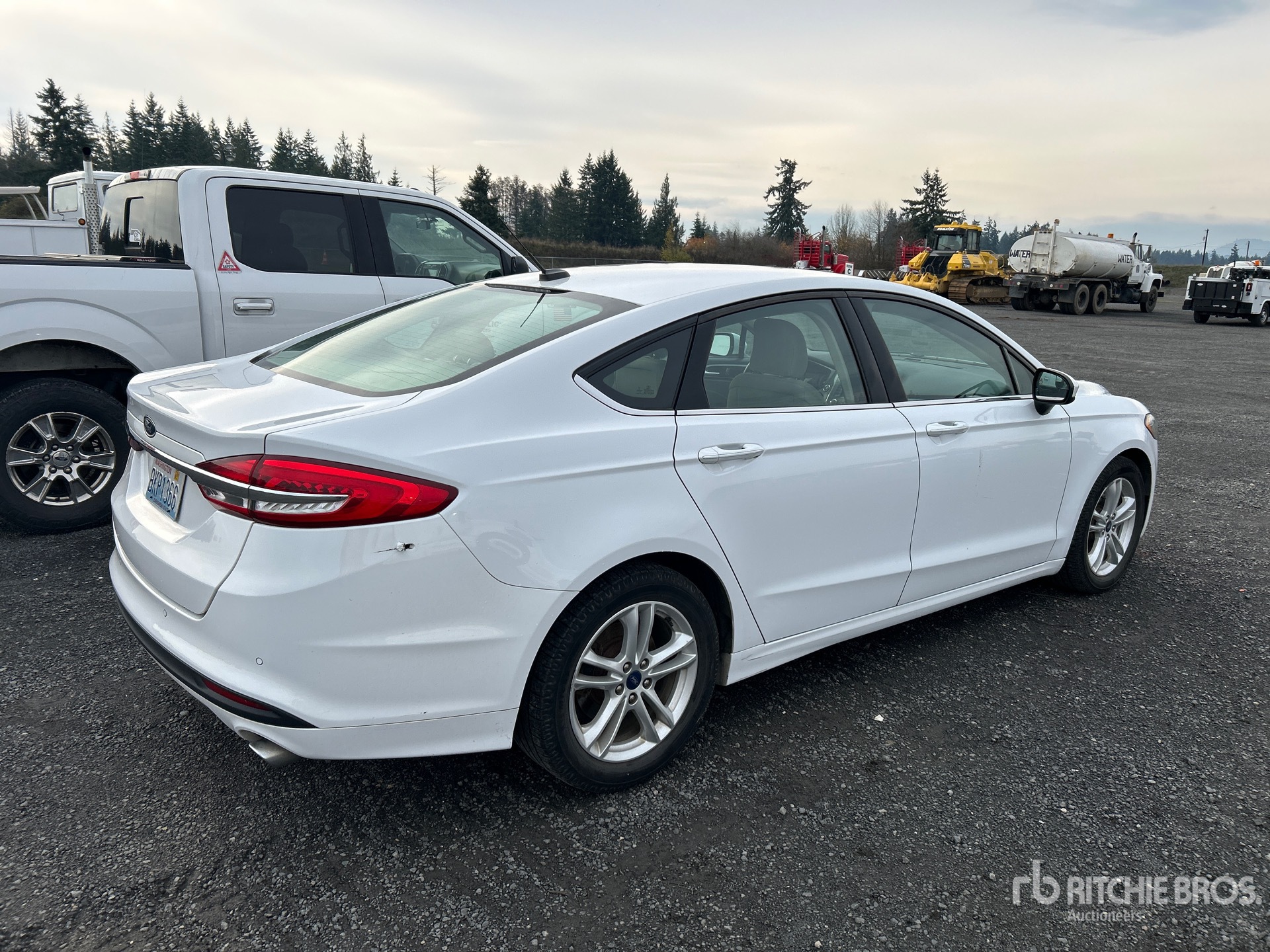 General Appearance with Zdjęcie, prawy dolny róg