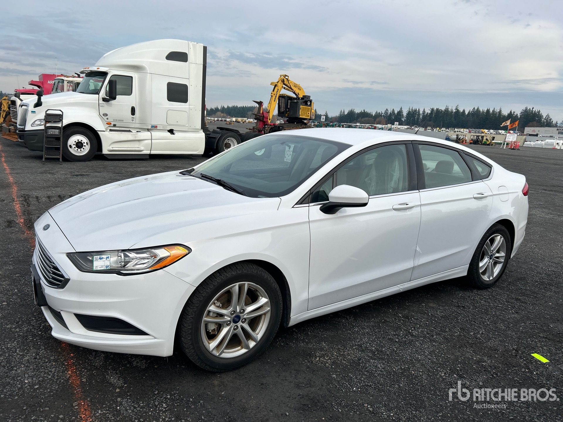 General Appearance with Zdjęcie, lewy górny róg