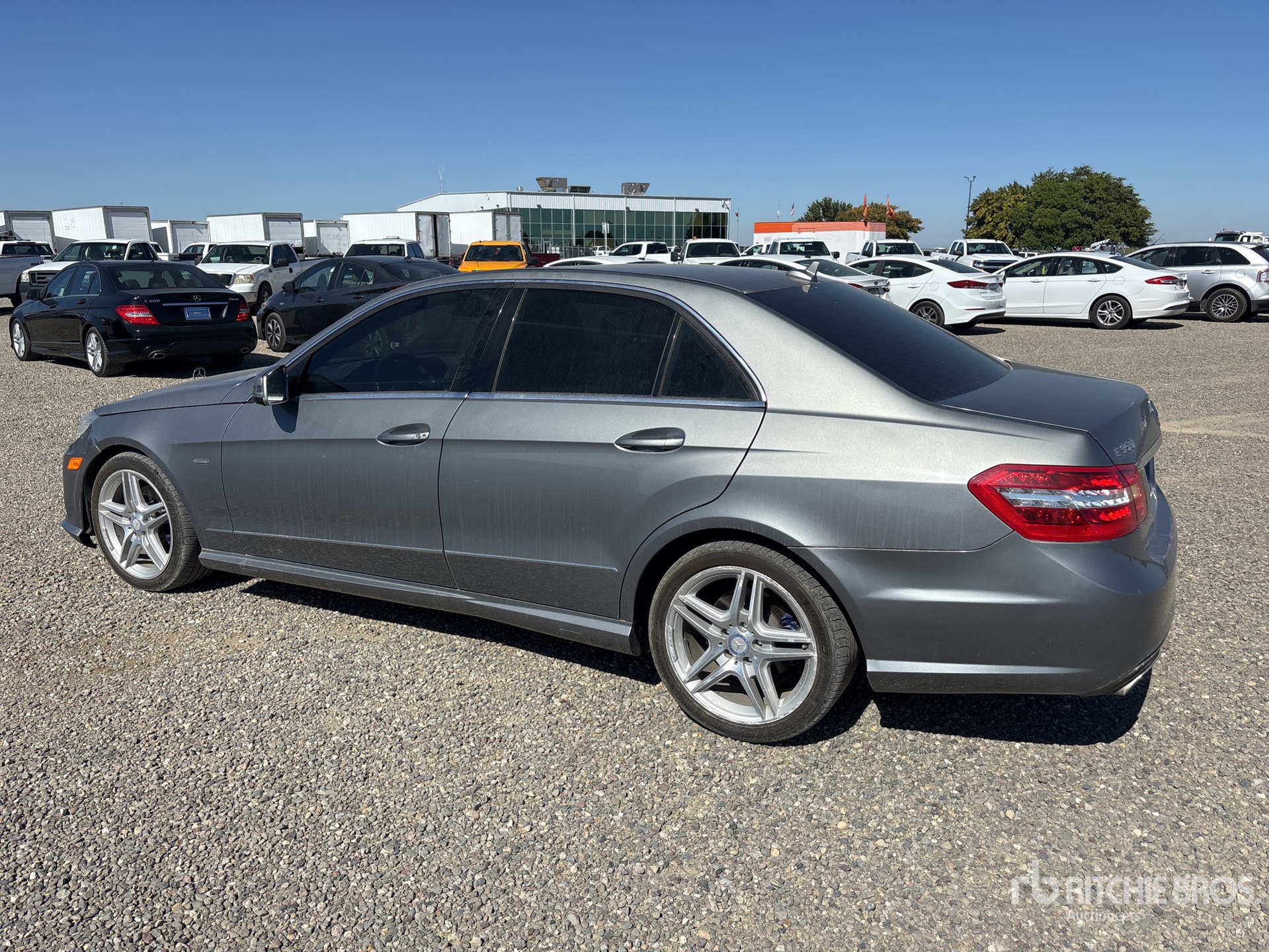 General Appearance with Zdjęcie, lewy dolny róg