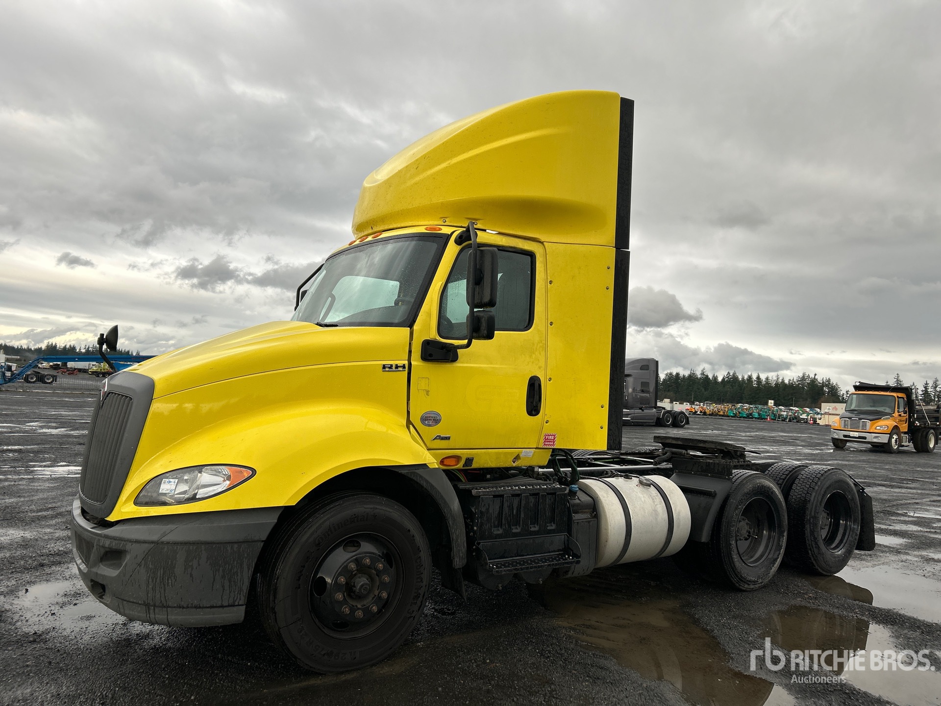 General Appearance with Spin